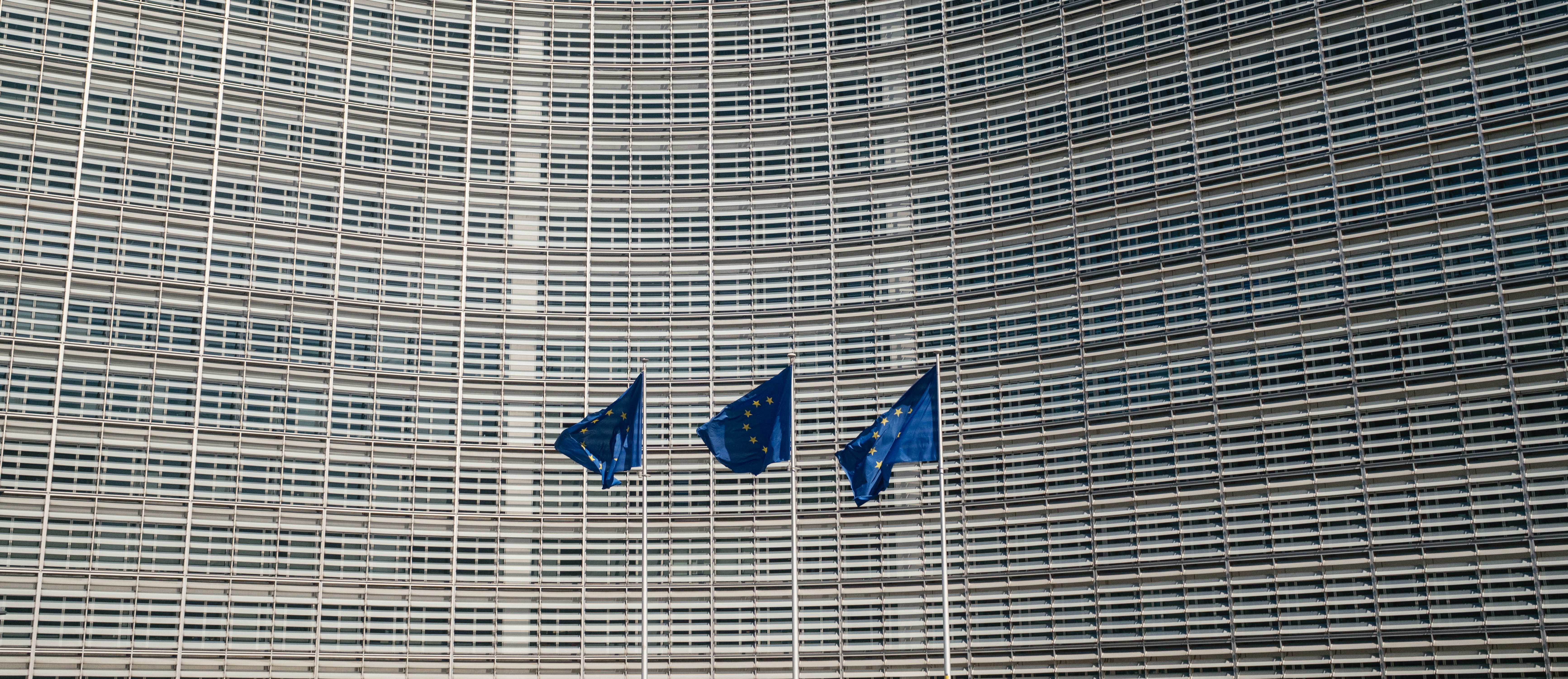 Photo presenting European Union flags in front of a modern office building facade.