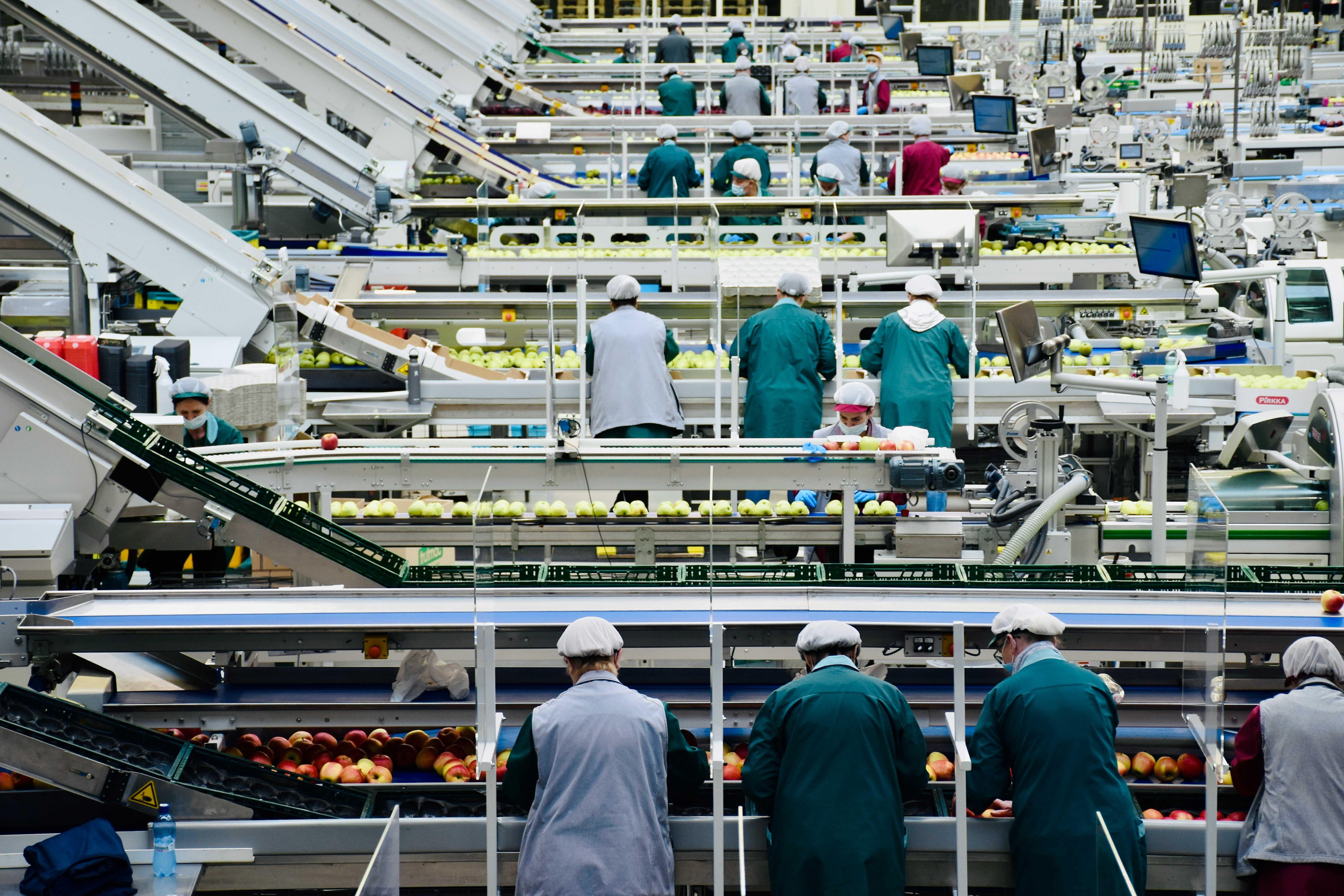 A picture presents workers sorting fruit in a processing facility.