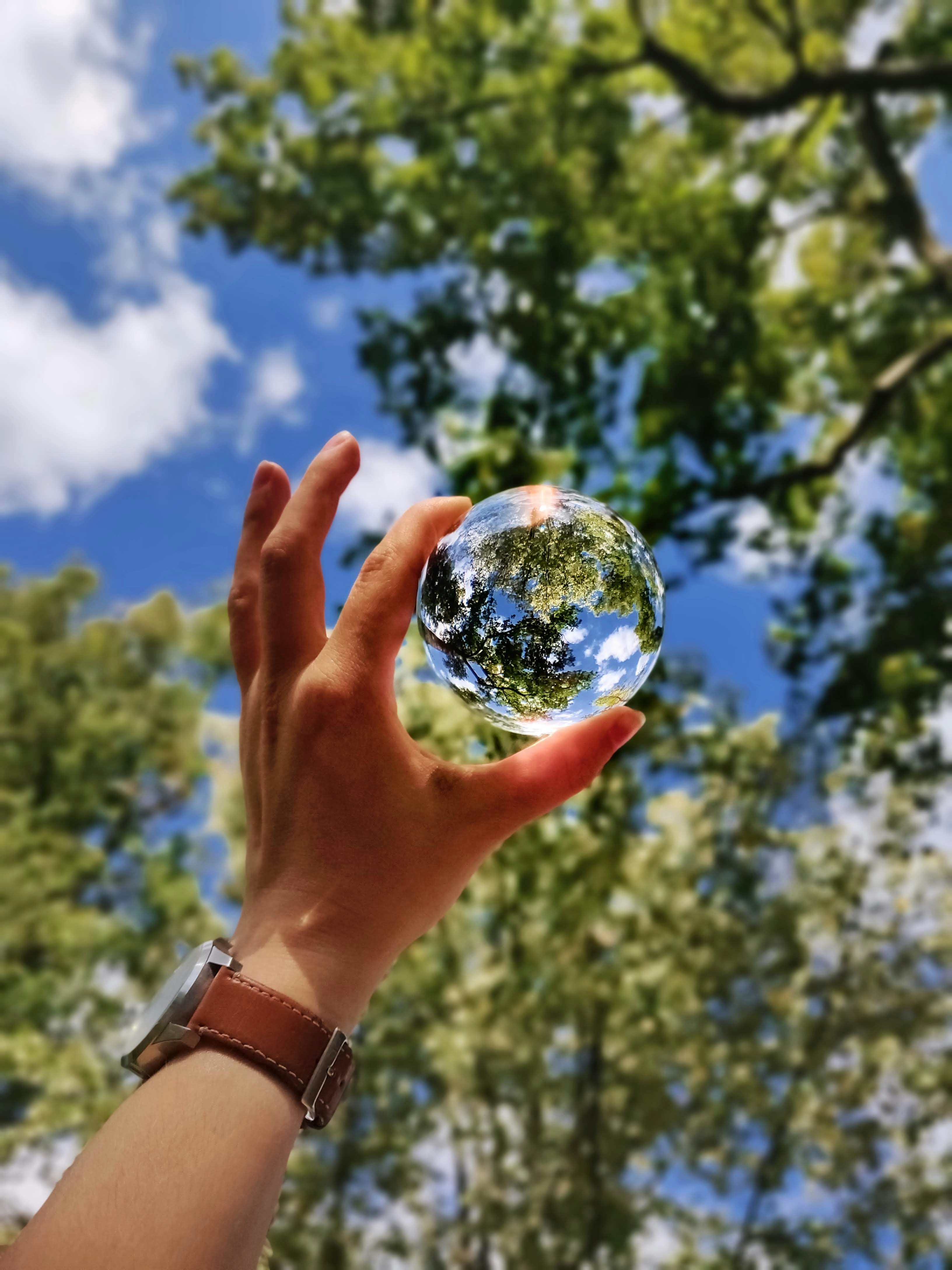 Photo presenting a hand holding a clear glass sphere reflecting green tree branches against a bright blue sky with clouds