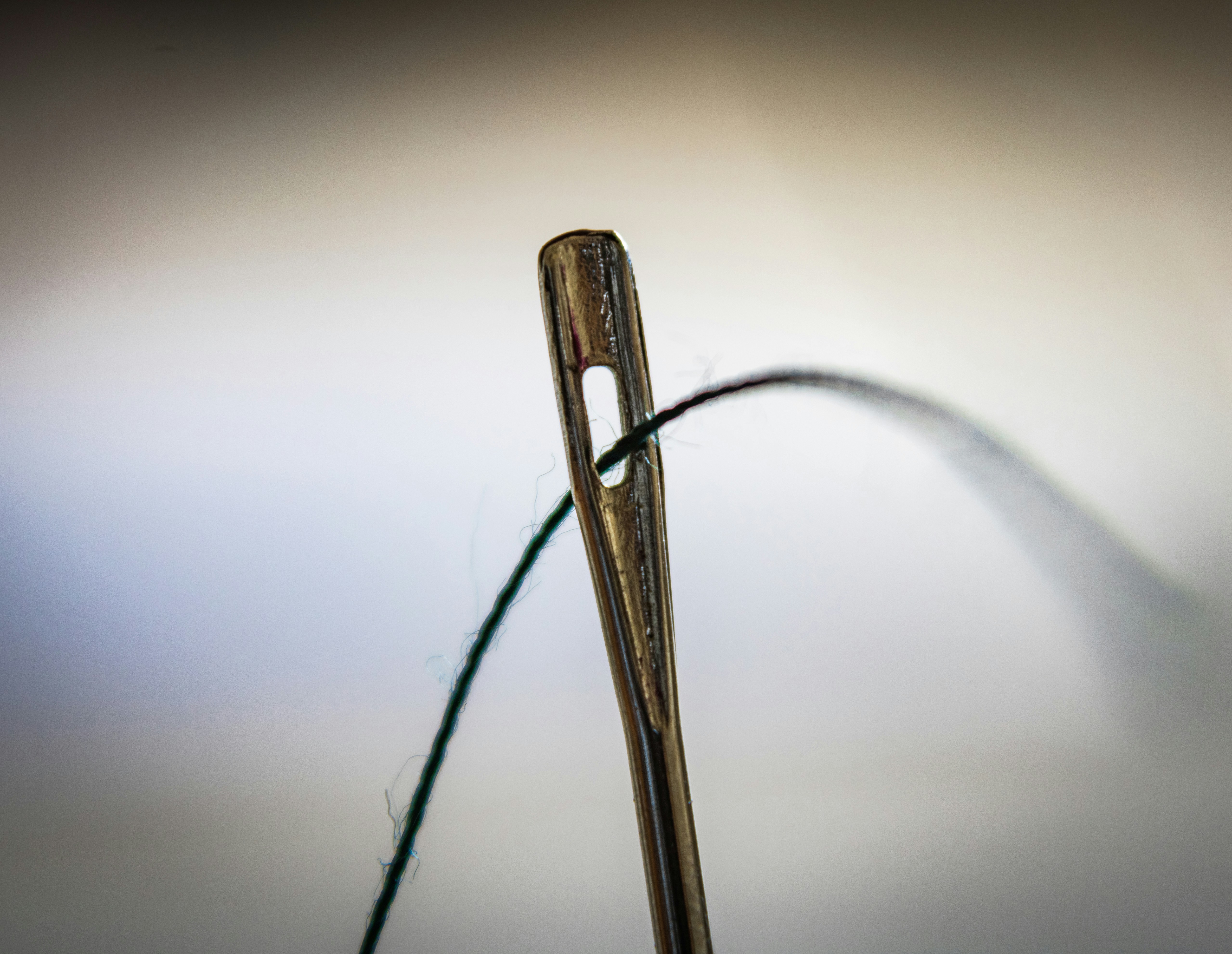 close up of needle and thread