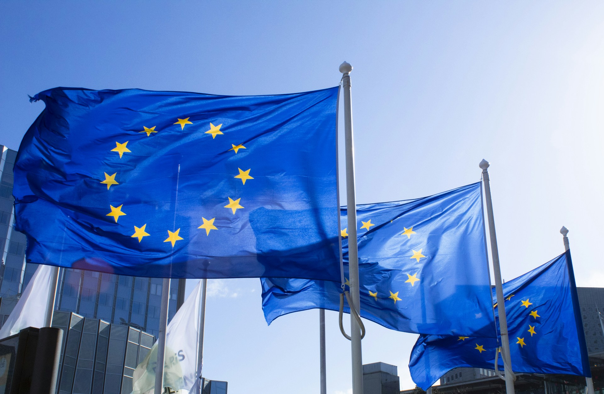 The photo presents European Union flags waving outside.