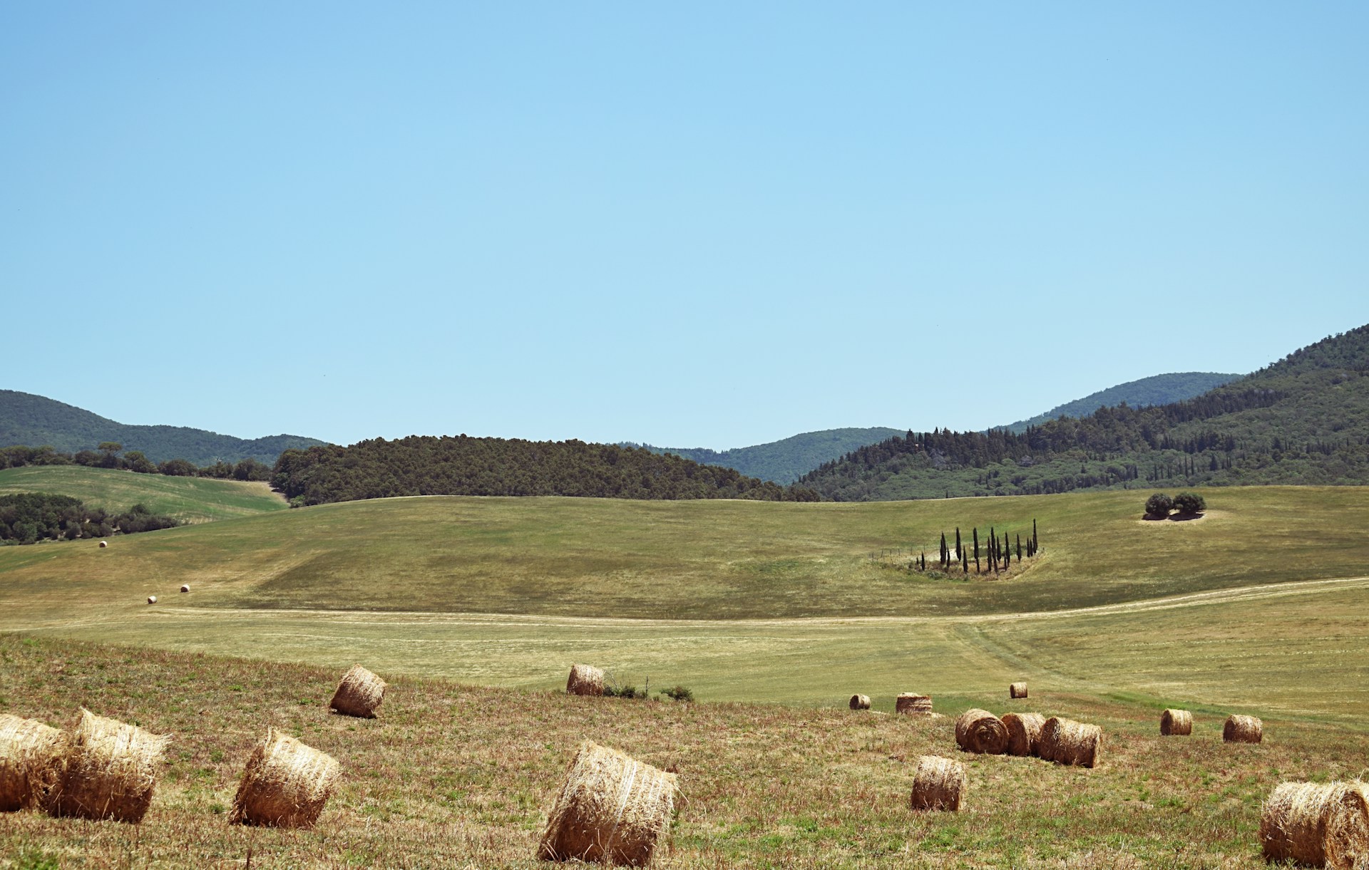 The photo presents a rural landscape with hay bales scattered across rolling fields and hills in the background.