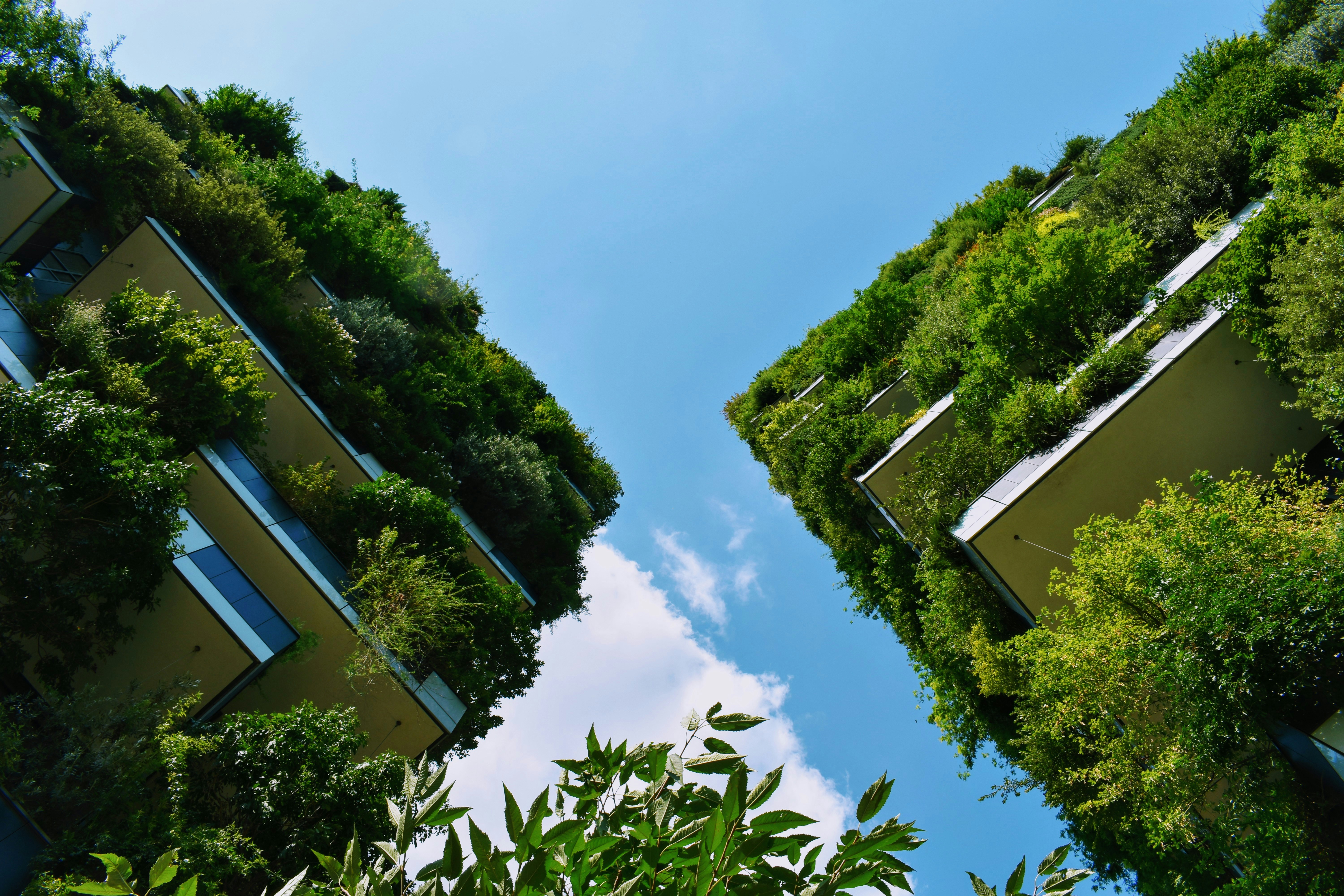 The picture depicts a contemporary building with vegetation-covered façades, showcasing the integration of nature-based solutions into sustainable urban architecture.