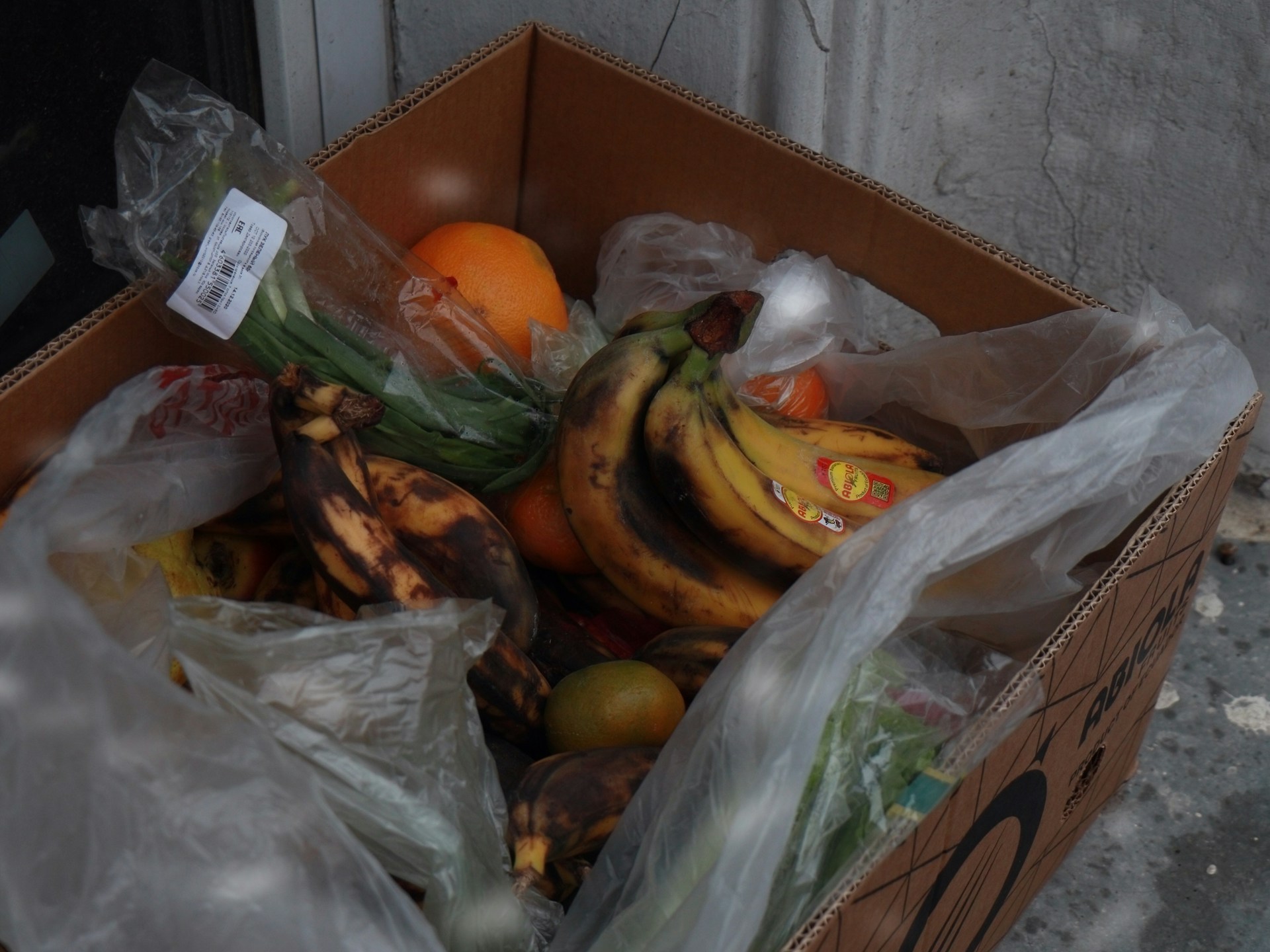 The photo presents discarded fruit and vegetables in a cardboard box.