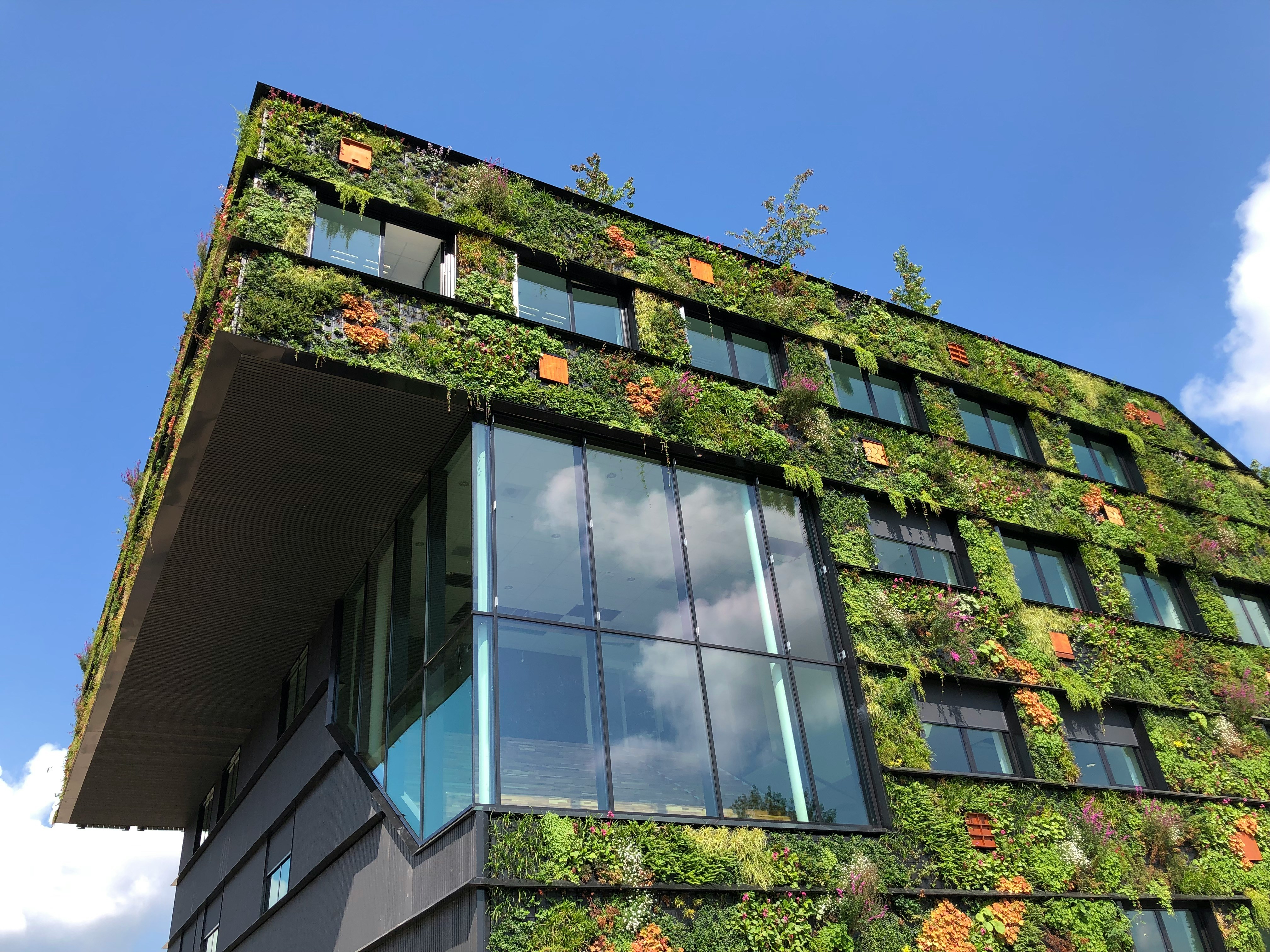 The picture showcases a modern building integrated with lush greenery.