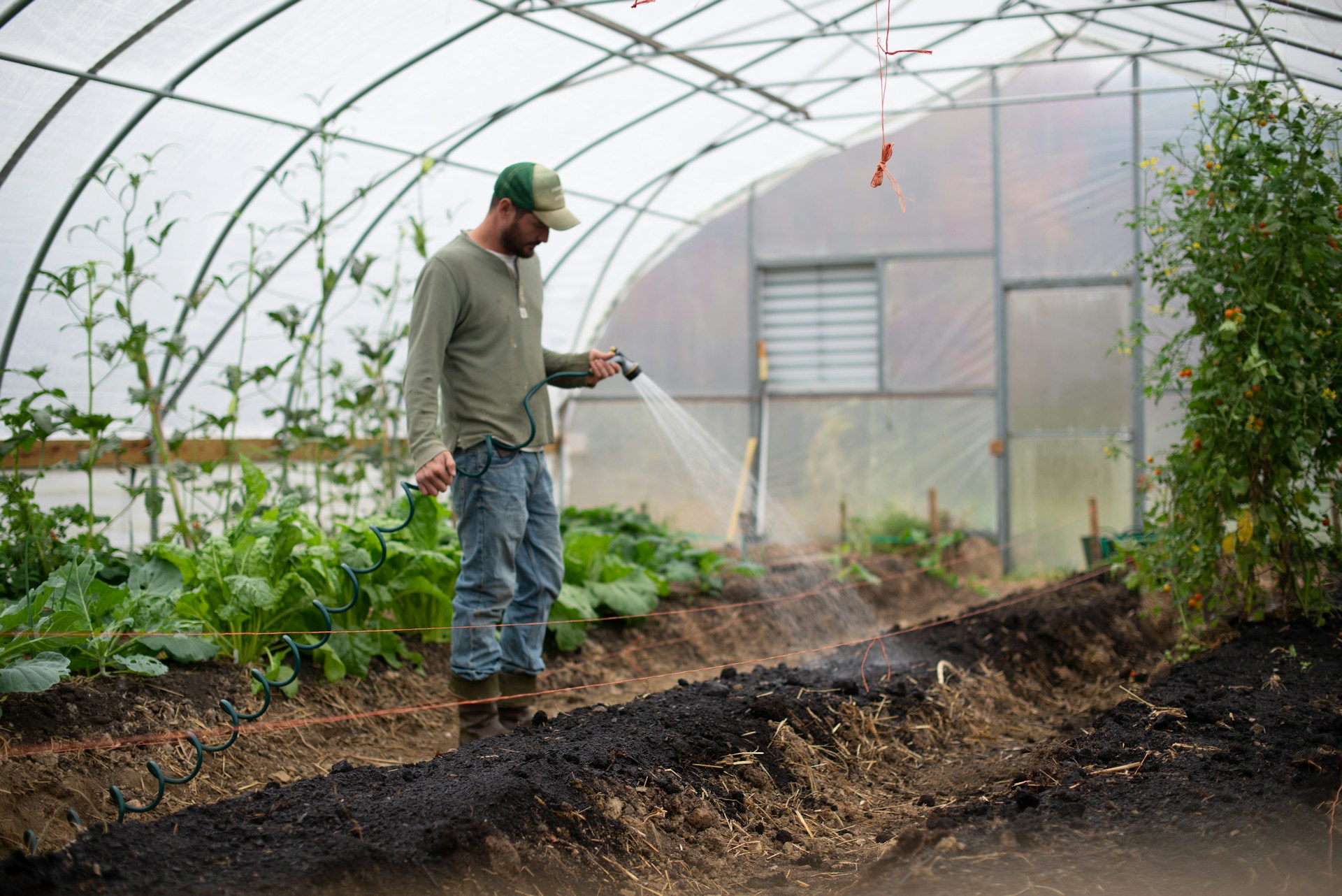 The photo presents a farmer watering plants in a greenhouse.
