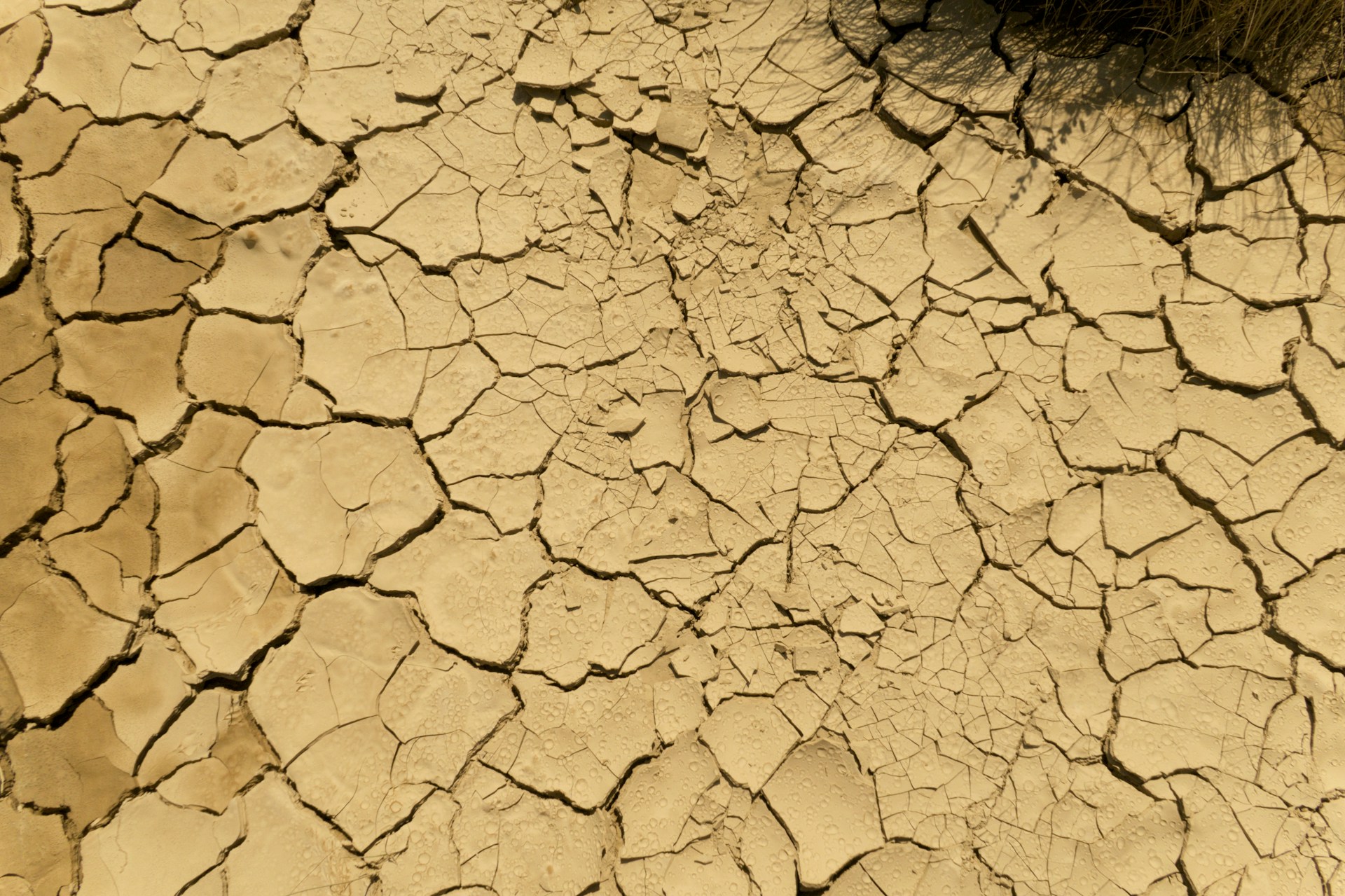The photo presents dry, cracked soil.