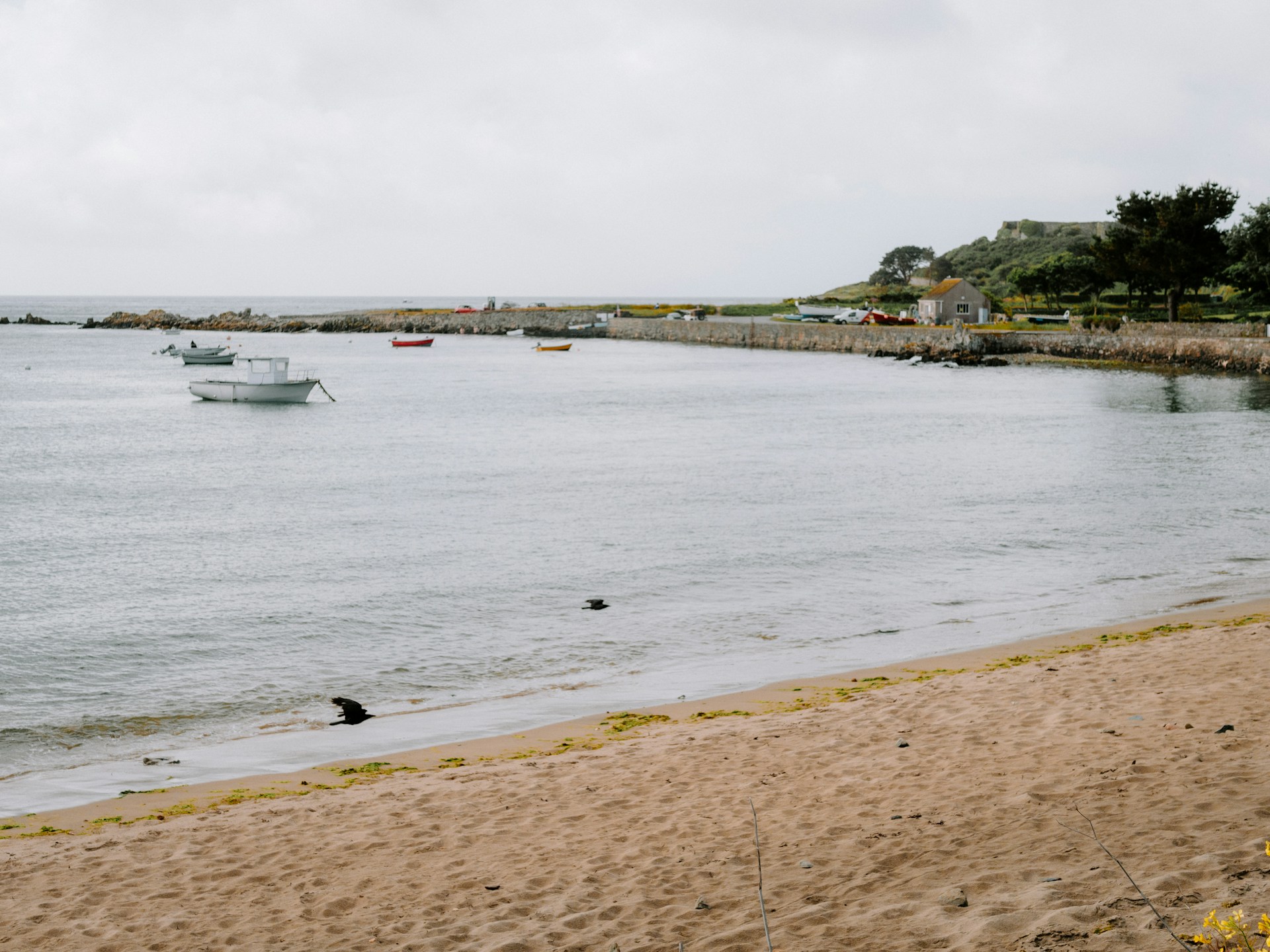 The photo presents a sandy beach beside a quiet harbour, with small boats, a stone seawall and trees under an overcast sky.