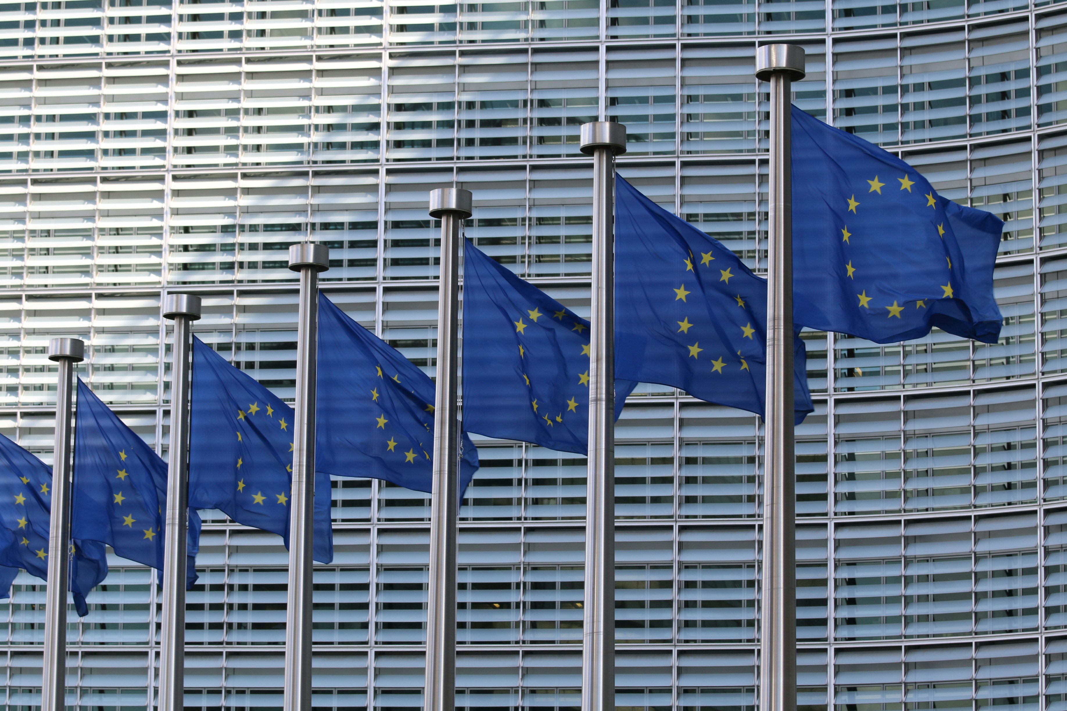The photo presents EU flags in front of a modern building.