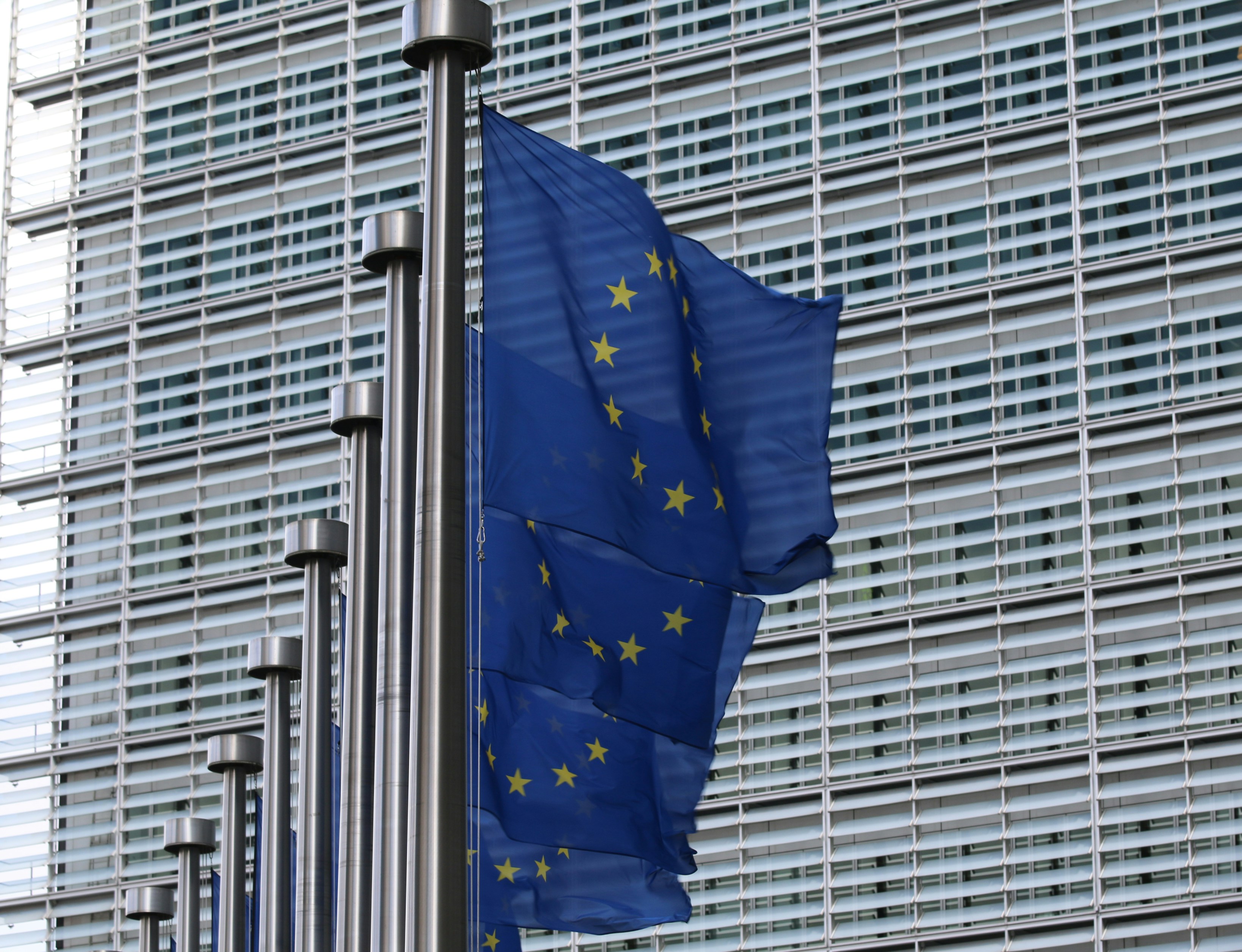 Blue EU flag on pole near building during daytime.