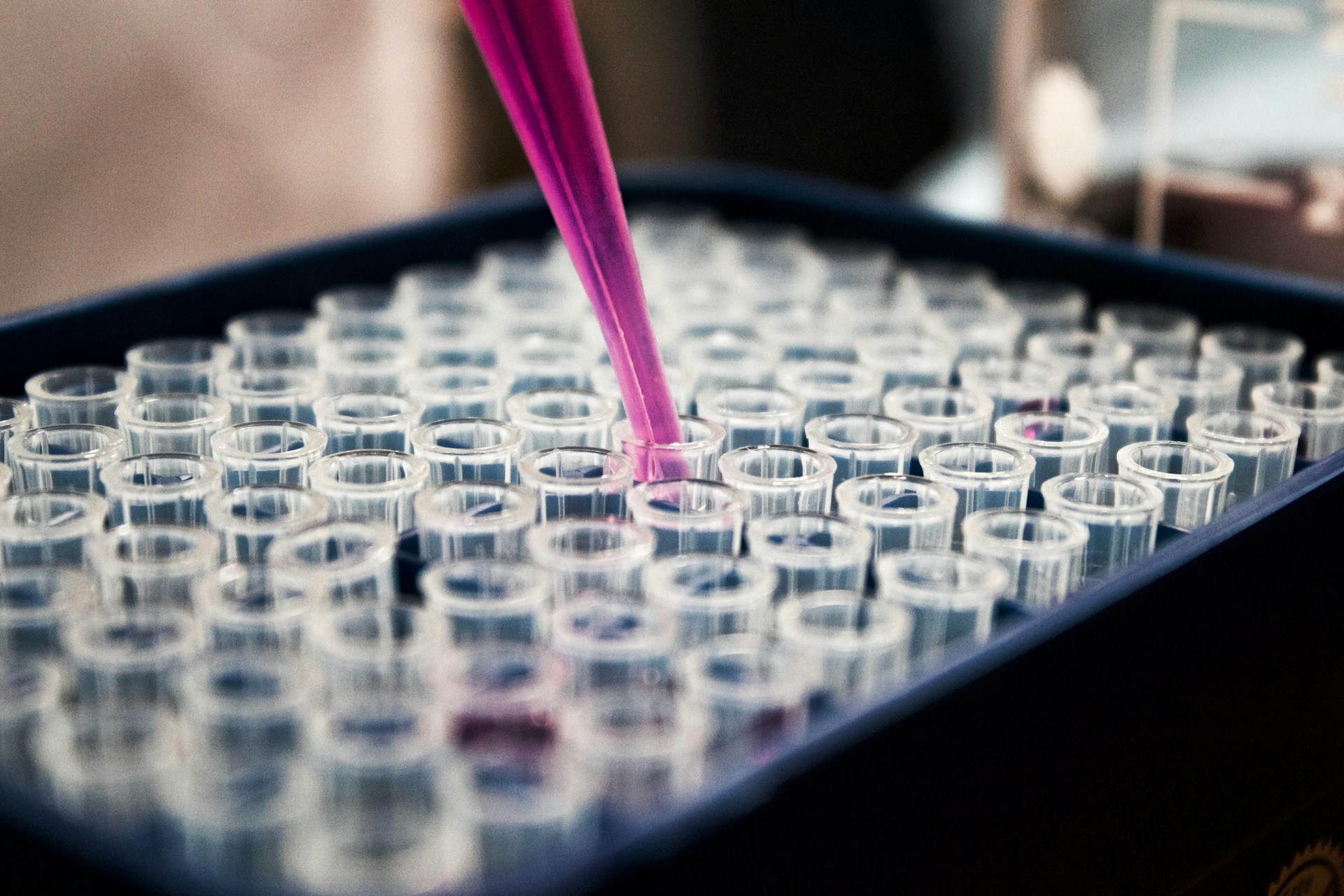 The photo presents a pipette containing pink liquid inserted into one of many clear sample tubes arranged in a laboratory rack.