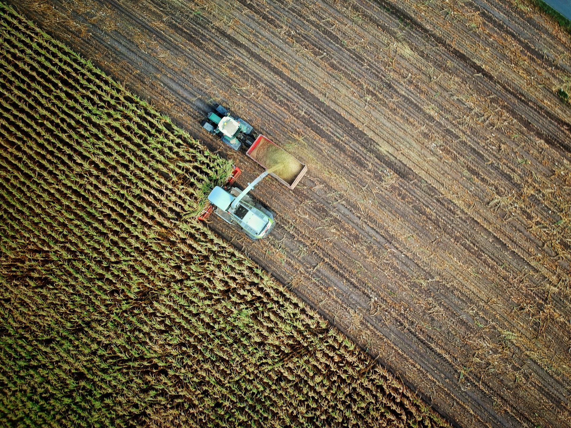 The photo presents an aerial view of a harvester cutting maize and loading it into a tractor trailer.