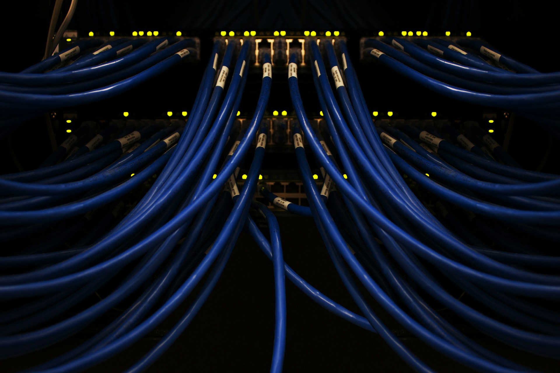 The photo presents network cables connected to servers.