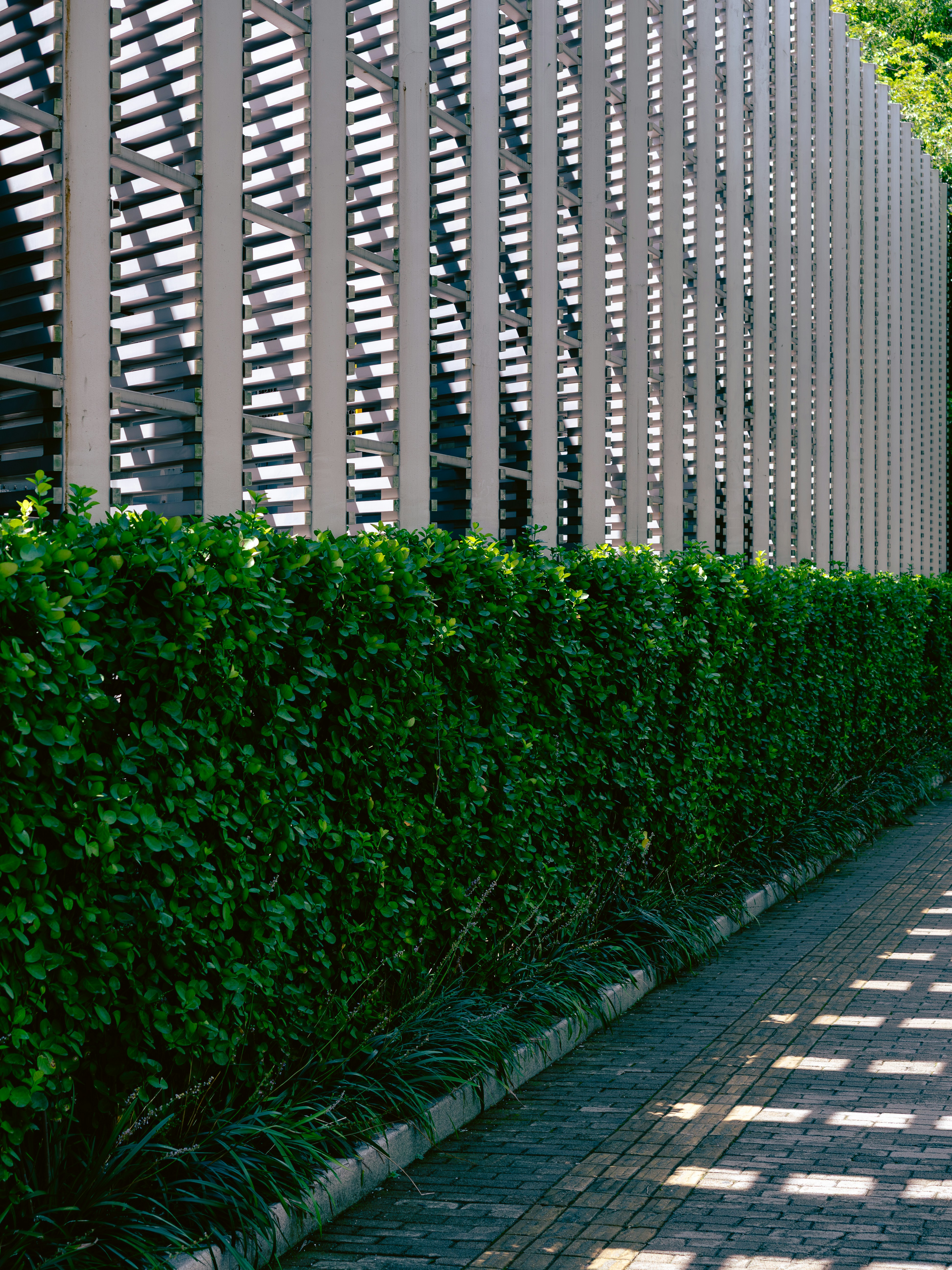 This picture shows a modern building façade surrounded by dense green landscaping and a paved walkway.