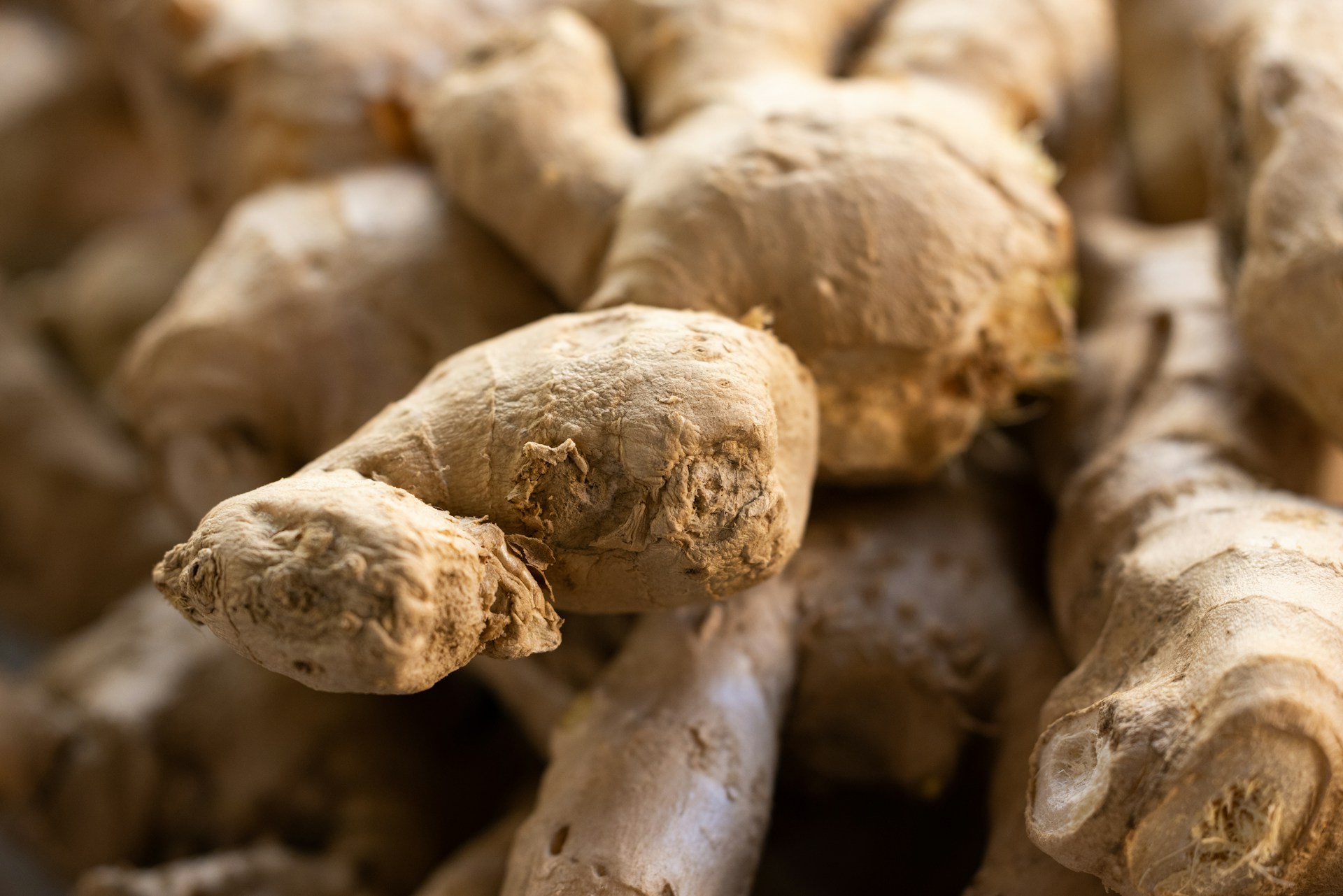 The photo presents fresh ginger roots in close-up.
