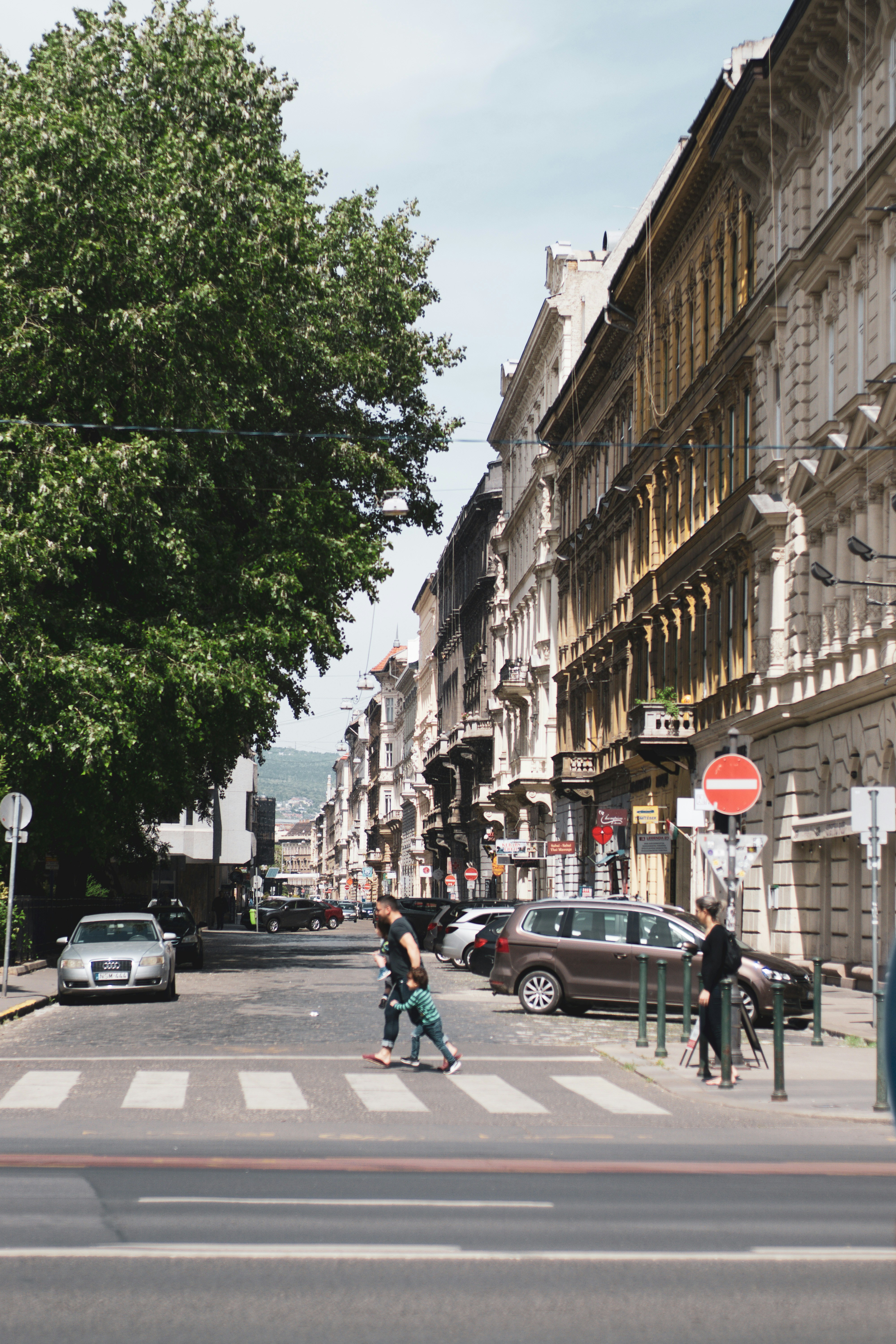 This picture depicts a historic urban streetscape lined with elegant multi-story buildings and mature trees.