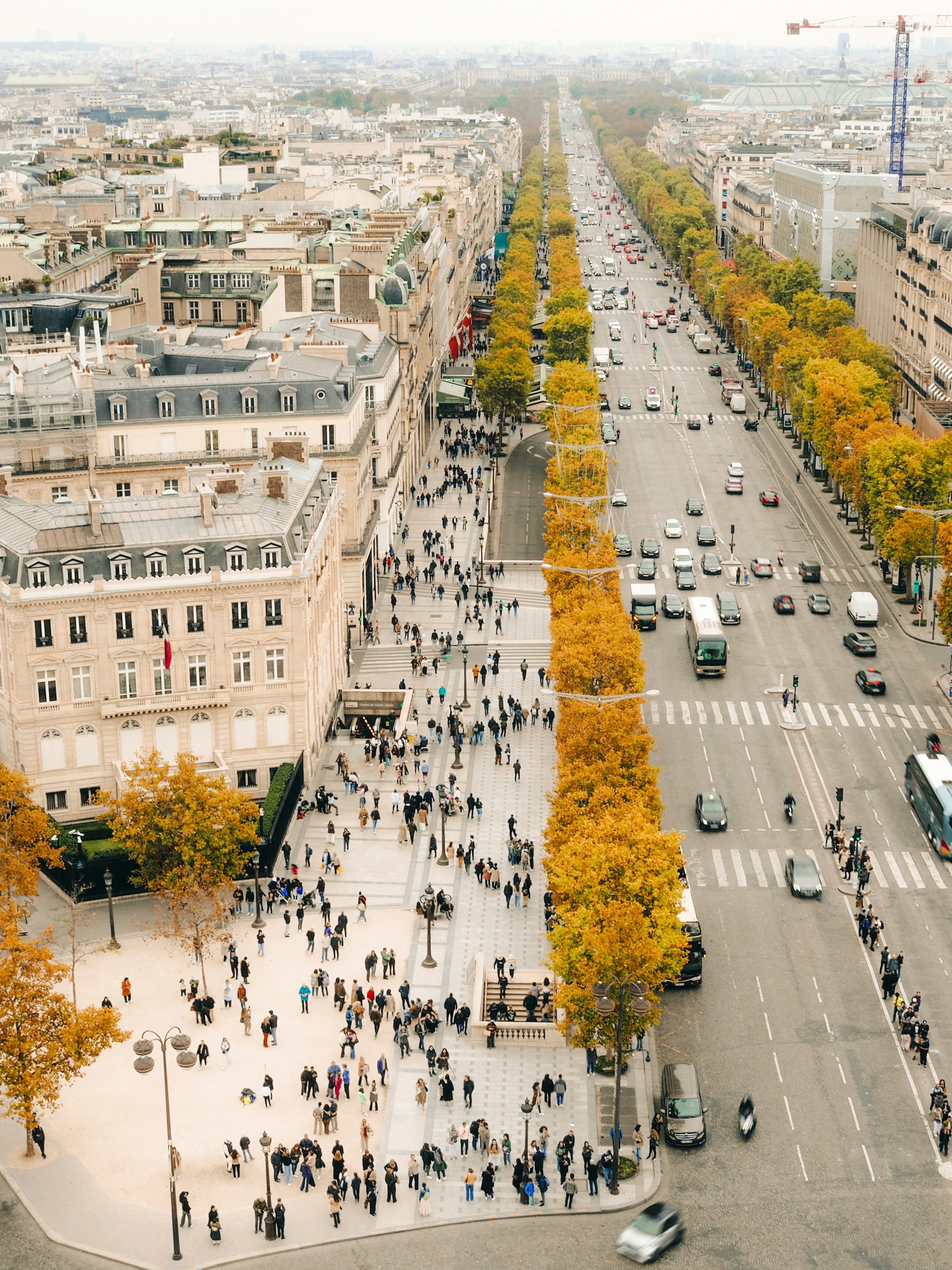 The picture shows a busy Parisian avenue lined with elegant buildings and autumn-colored trees, filled with cars and pedestrians.