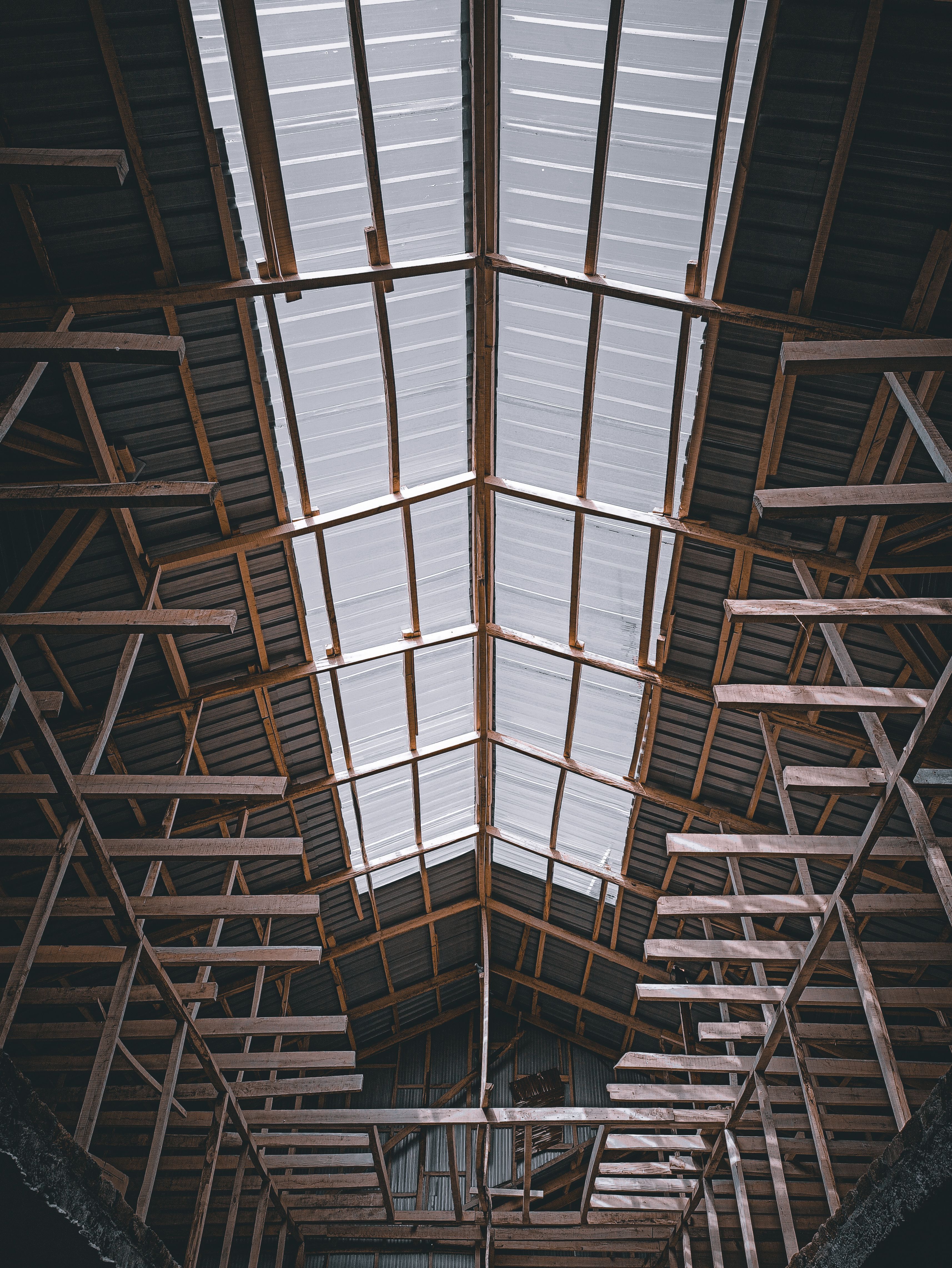 This picture shows the interior roof structure of a large industrial or agricultural building, photographed looking upward.