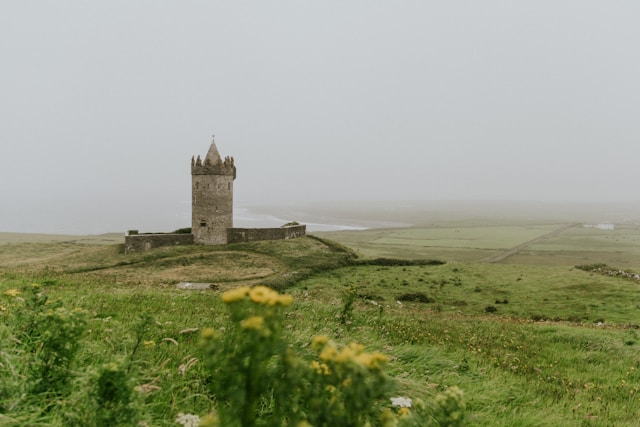 An illustrative photo of a gray concrete structure standing amidst lush green field