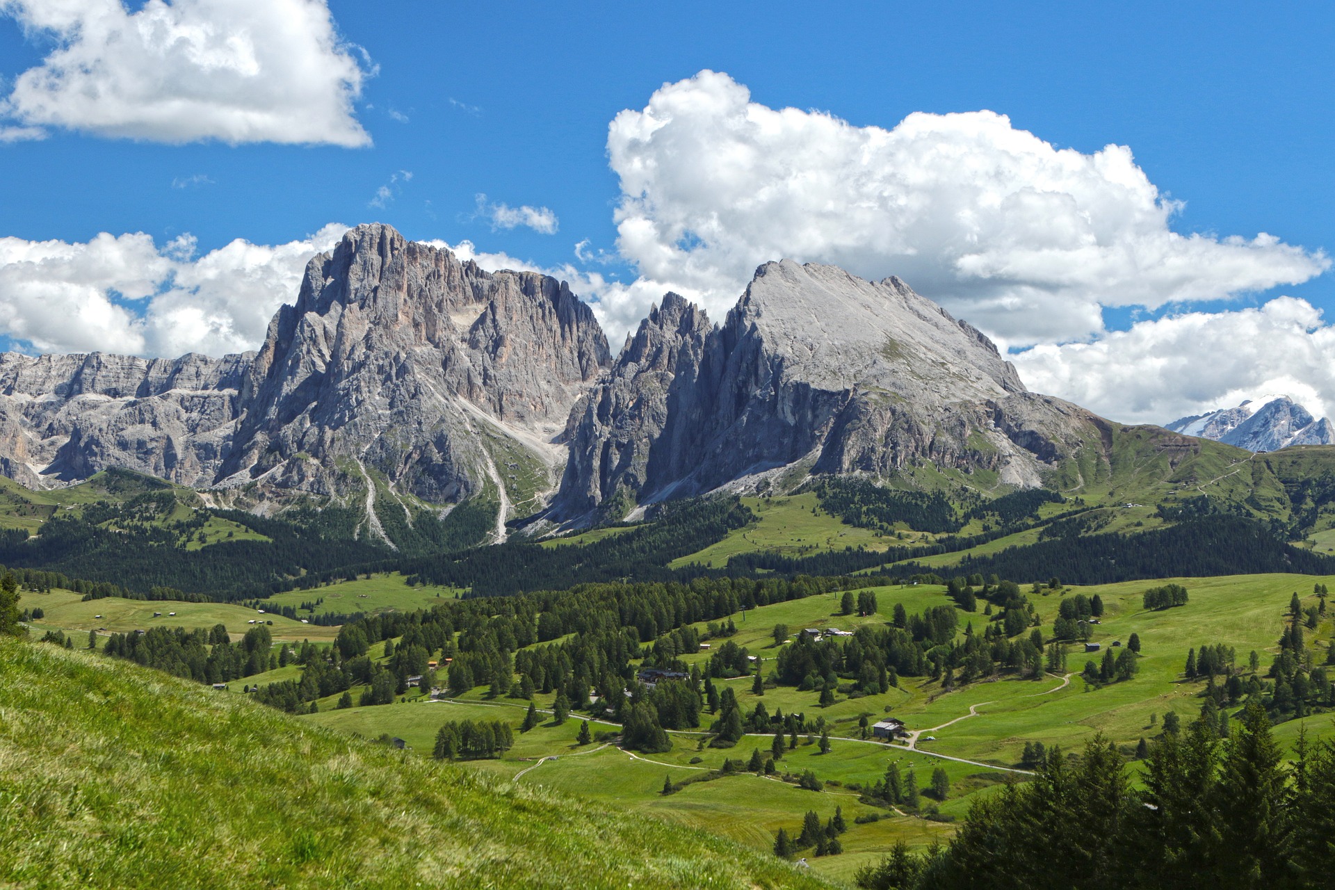 An illustrative photo of mountains on a green glade with trees