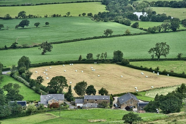 An illustrative photo of a farm on the fields