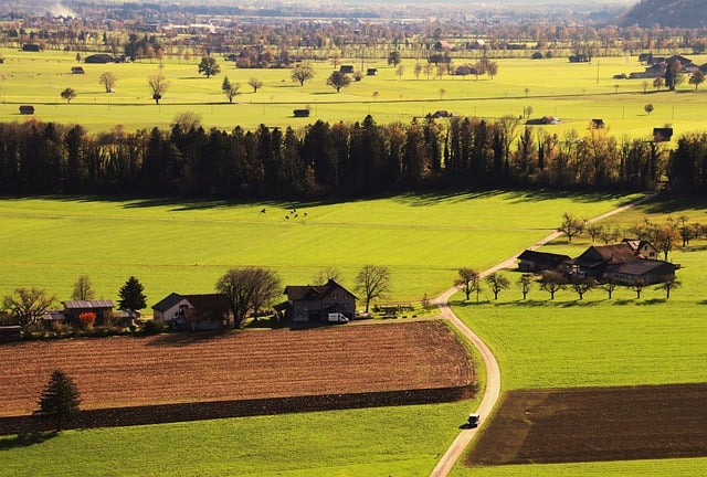 An illustrative photo of a farm on the field