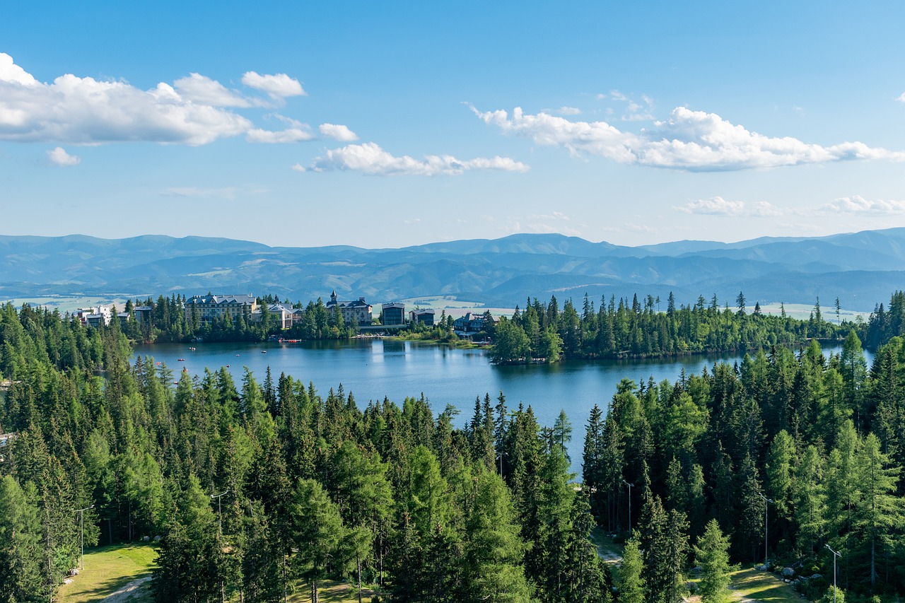 An illustrative photo of a lake near forest and mountains in the background