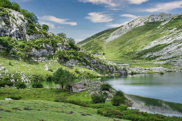 An illustrative photo of a lake surrounded by lush greenery and mountains