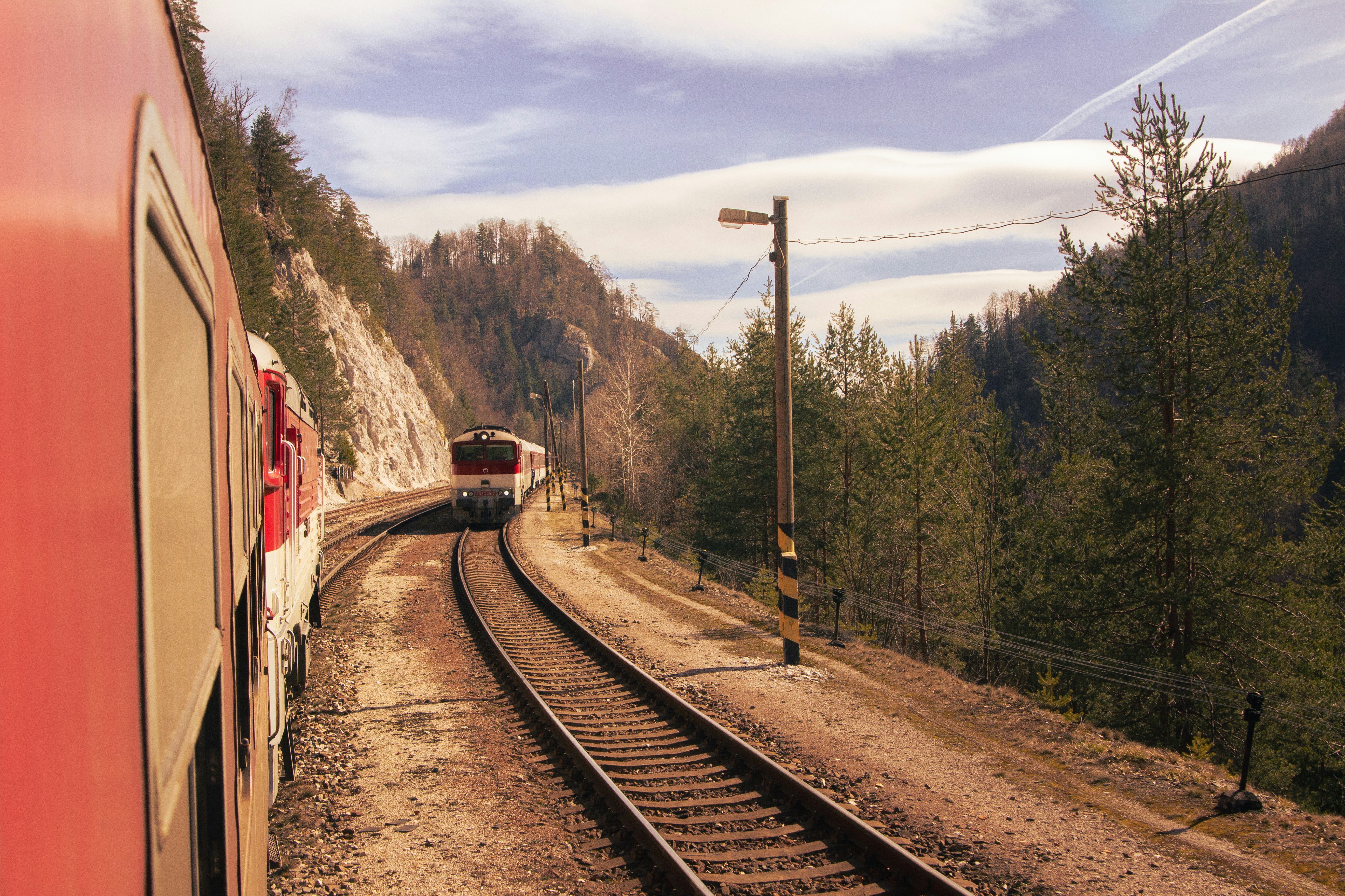 An illustrative photo of a train traveling down train tracks next to a forest.