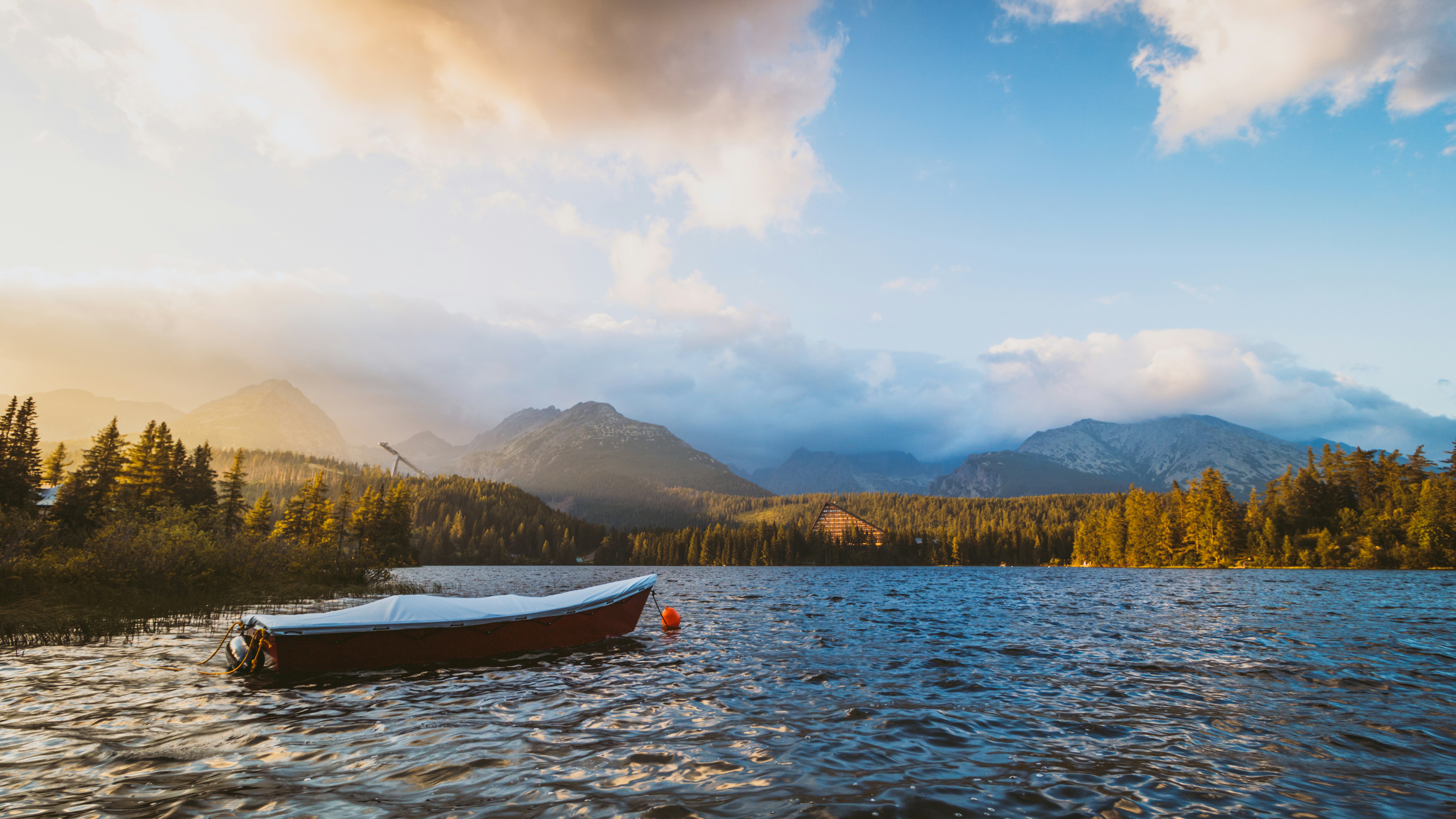 Photo by Unsplash An illustrative photo of white boat on water near tree.