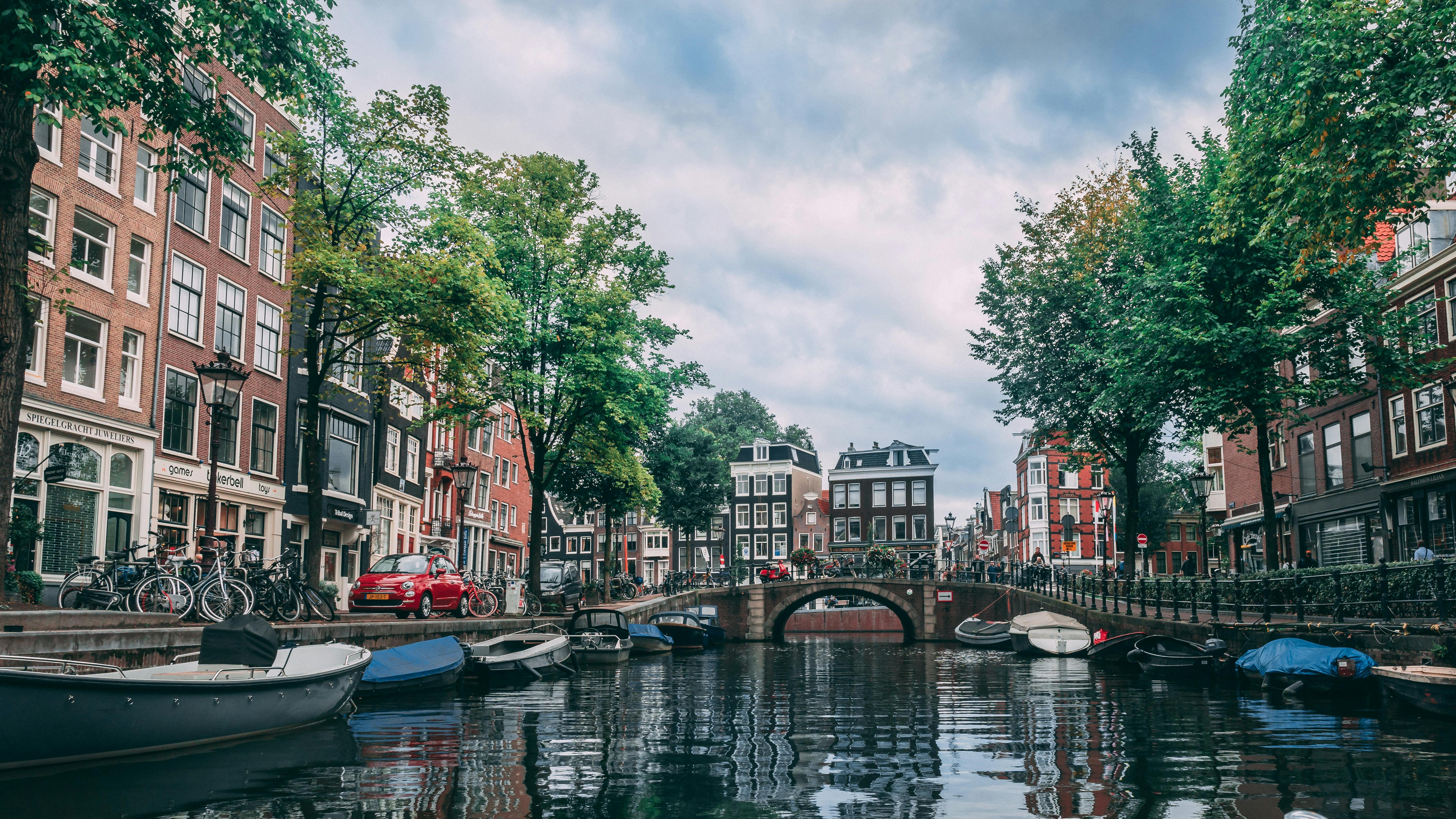 An illustrative photo of boats parked on a river