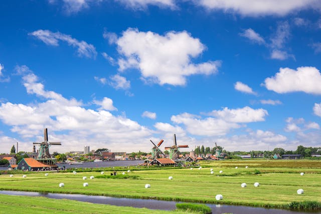 An illustrative photo of green grass field