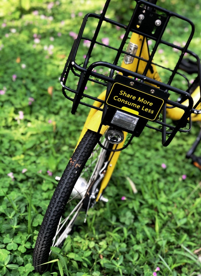 Photo by Unsplash An illustrative photo of a bicycle resting on a lush green grass field