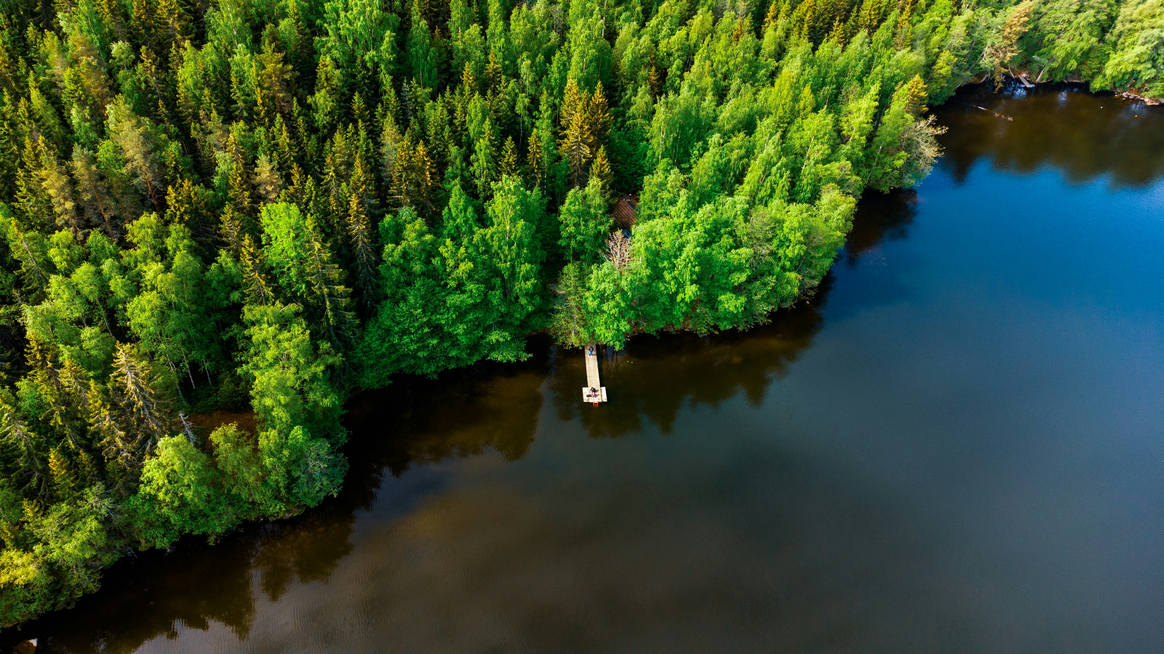 Photo by Unsplash An illustrative photo of a lake surrounded by trees.