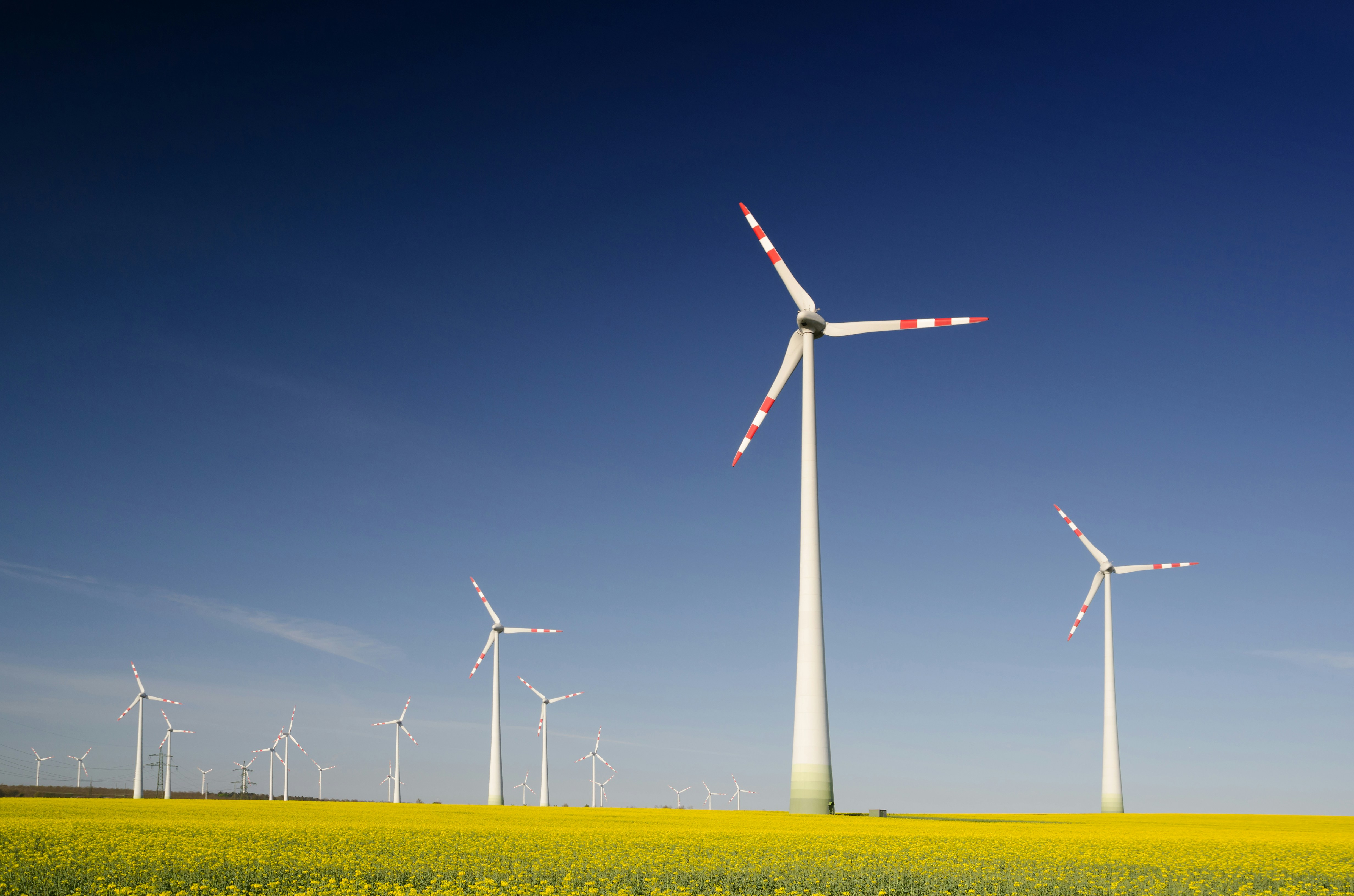 An illustrative photo of windmills on grass field