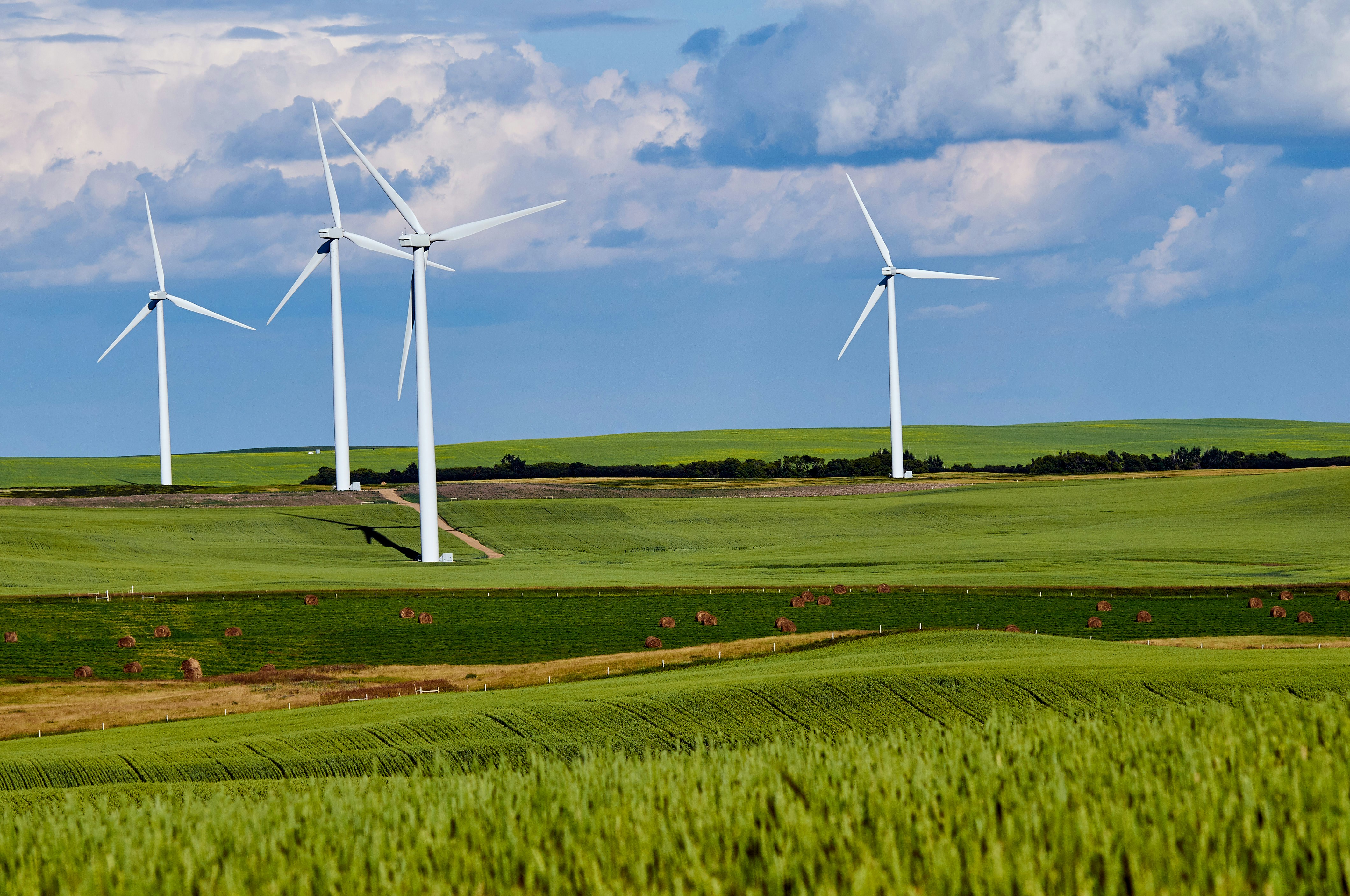 An illustrative photo of four white windmills in the field.