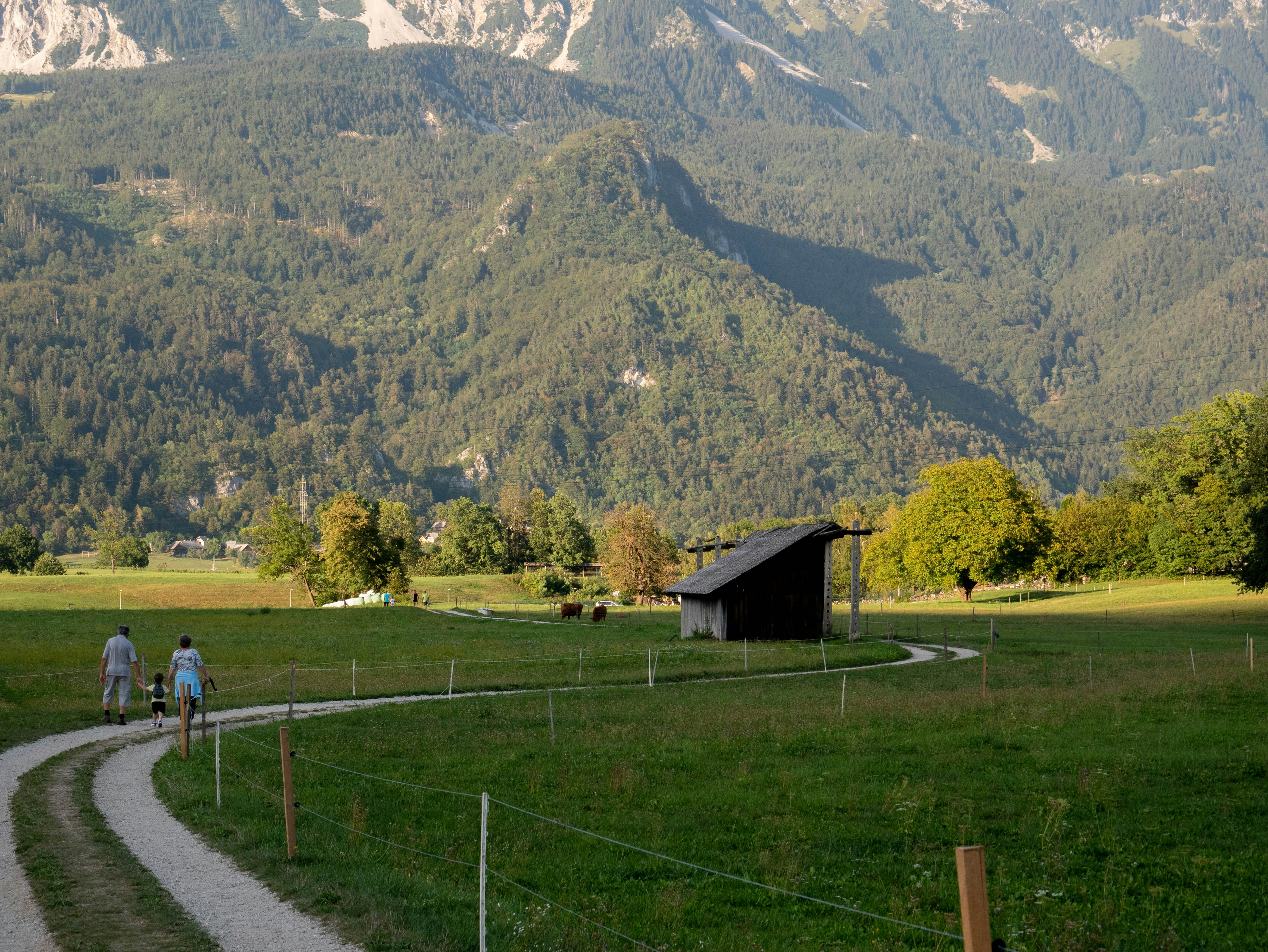 An illustrative photo of people walking on a path in a grassy field.