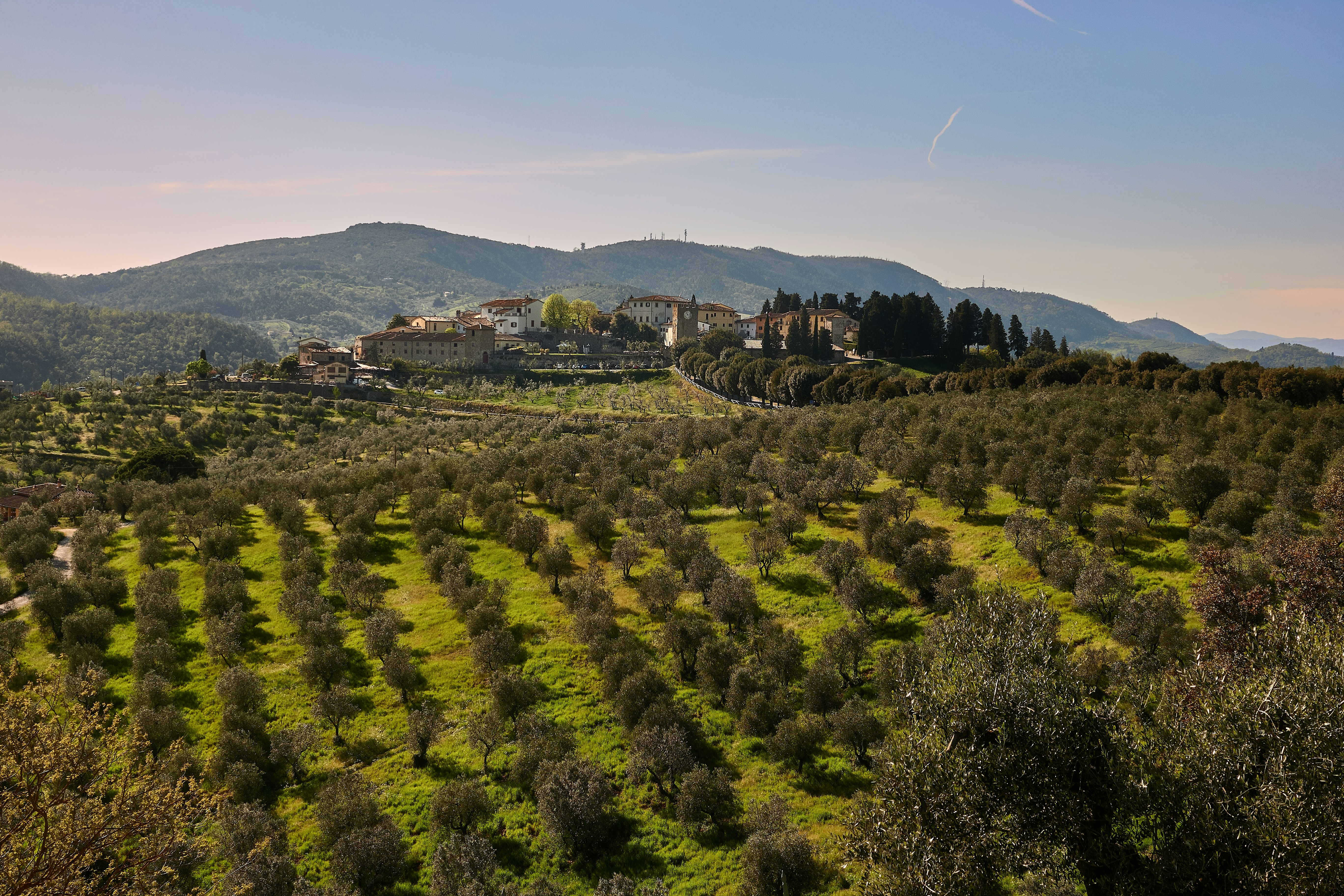 An illustrative photo of a small village on a hill.