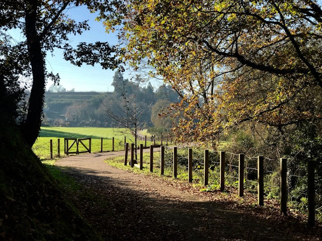 An illustrative photo of a road stretches into the distance.