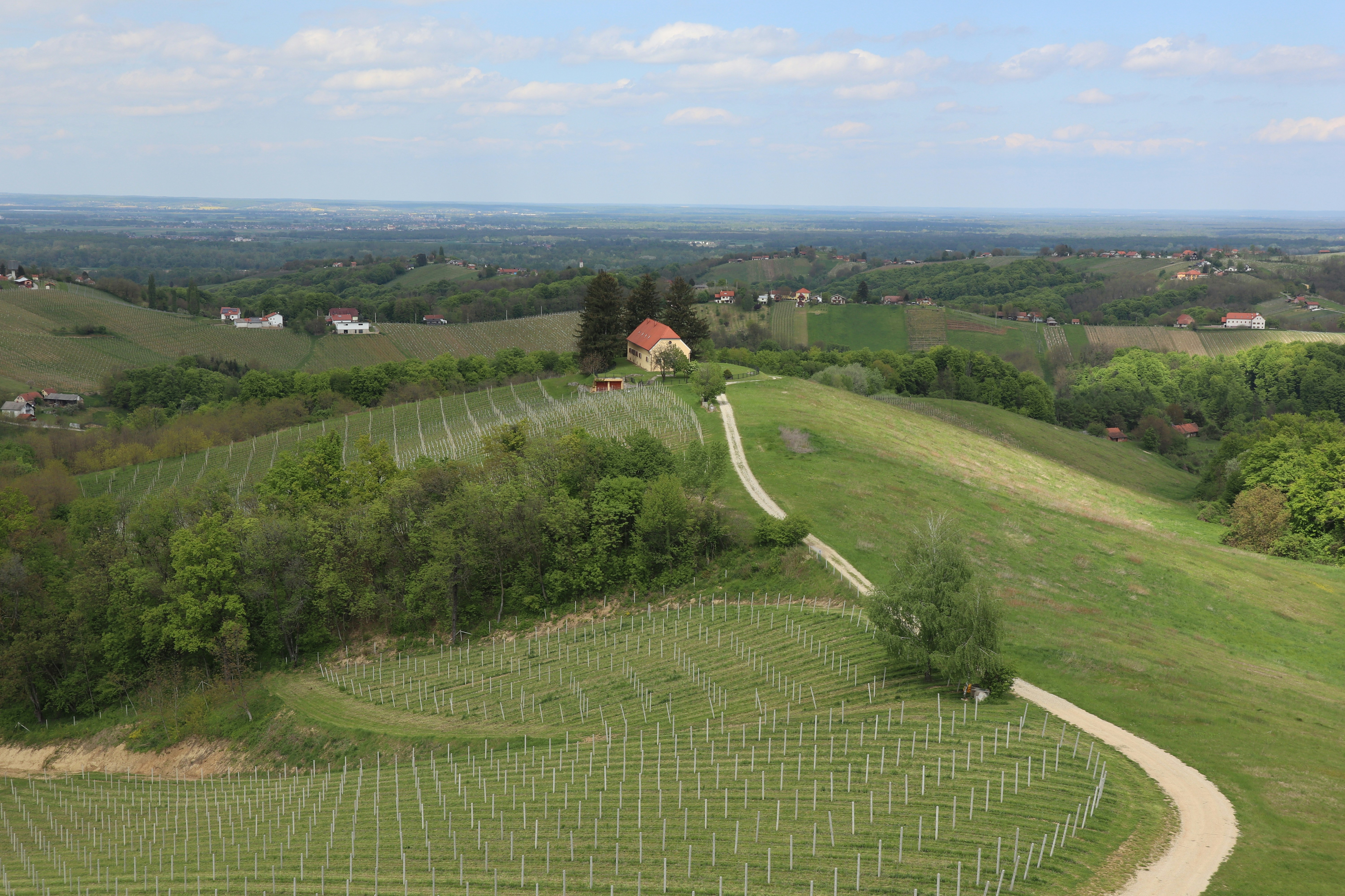 An illustrative photo of a grassy hill with trees.