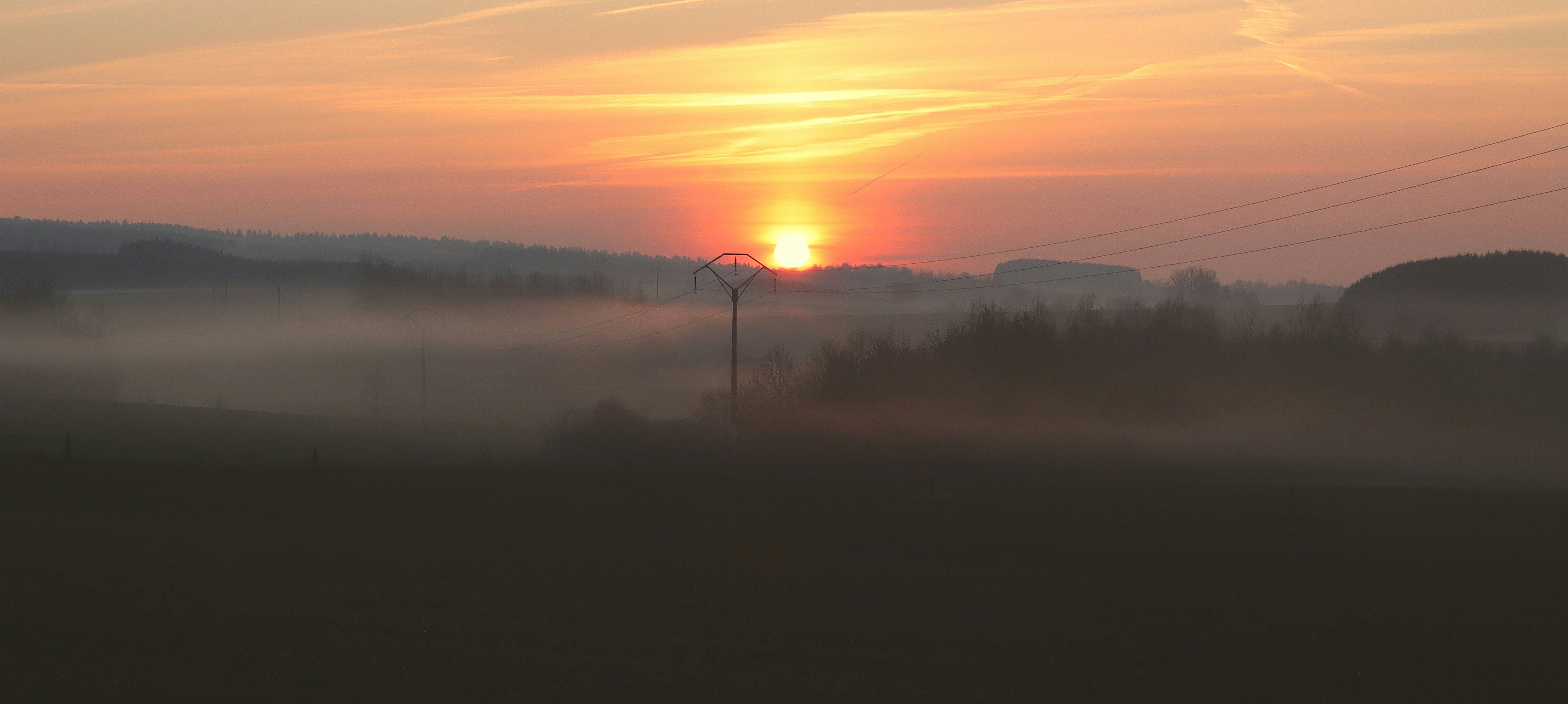 An illustrative photo of a sunset behind the field with pine trees