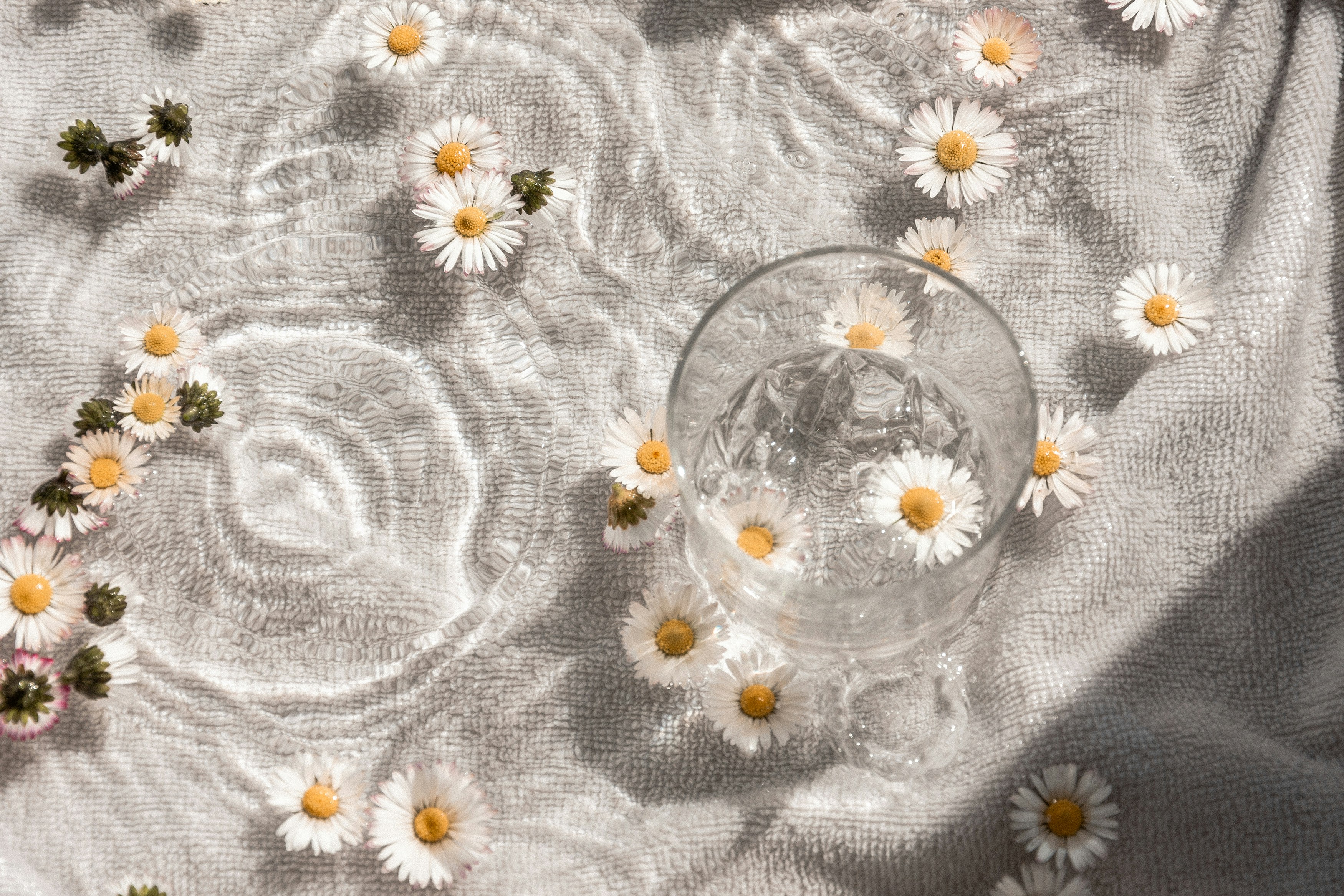 Photo by Unsplash An illustrative photo of a clear glass bowl.