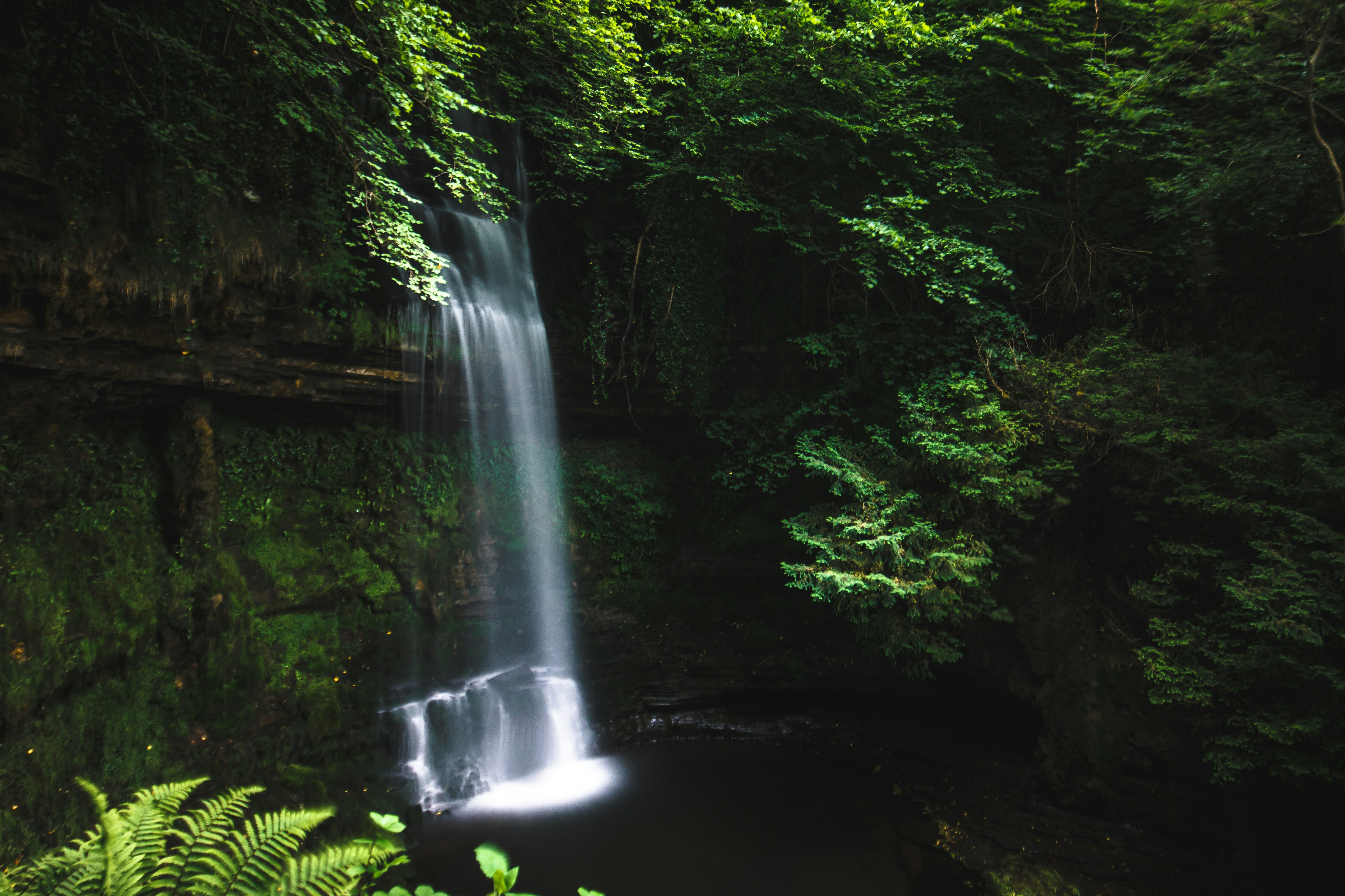 An illustrative photo of a waterfall in the woods