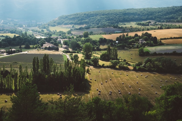 An illustrative photo of a green farm