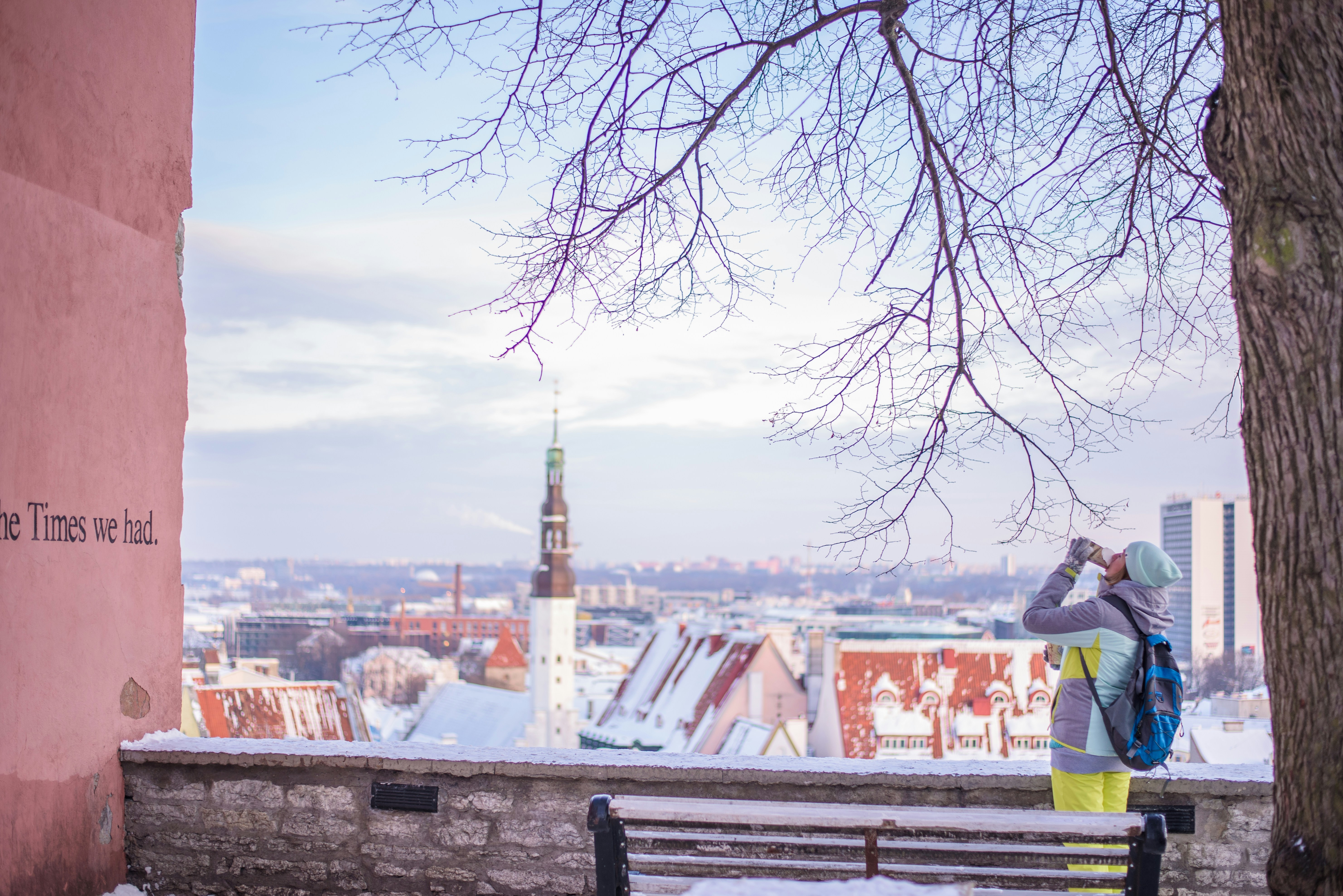 An illustrative photo of a woman drinking near bench under tree with a view on city