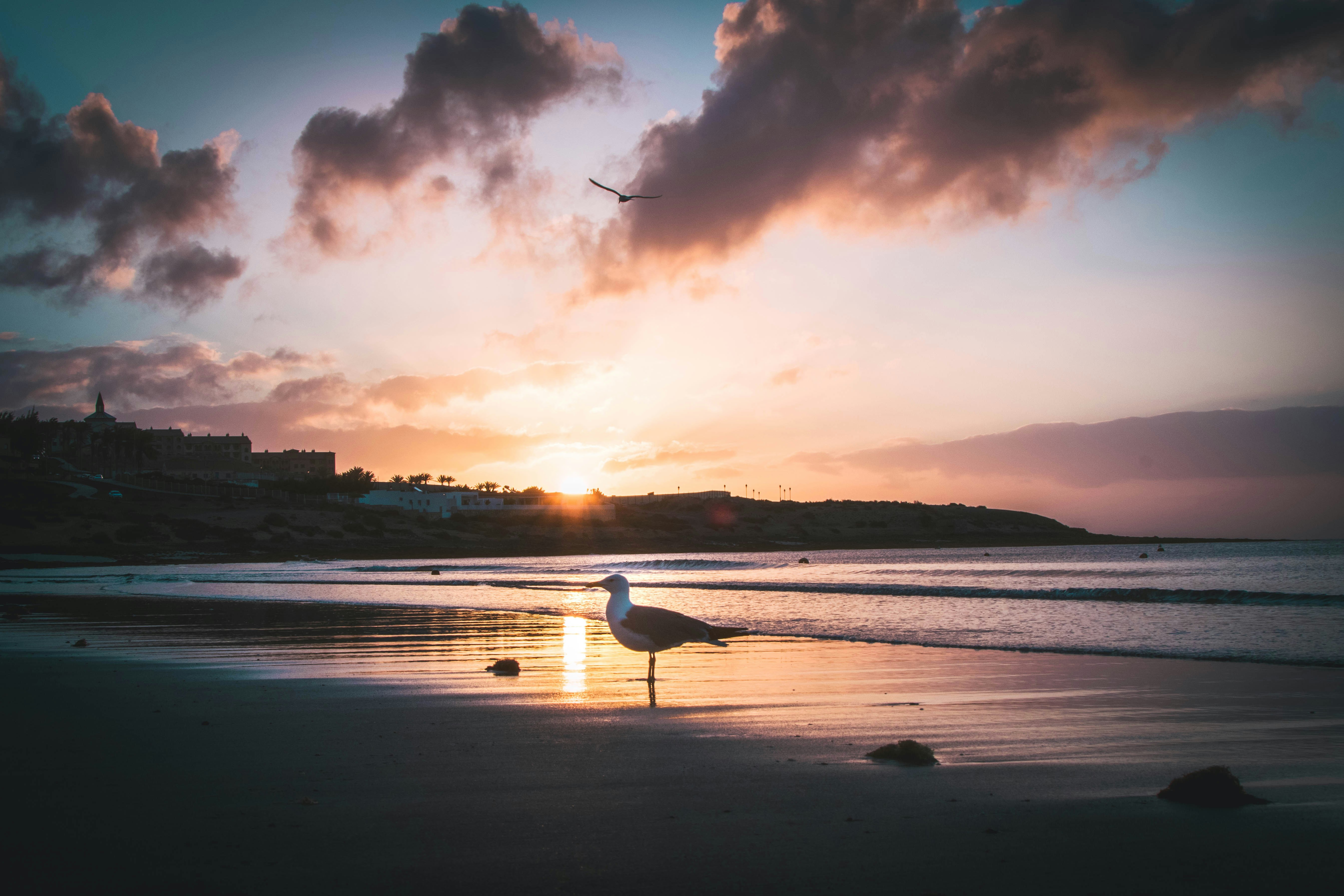 An illustrative photo of a beach scene at sunset. 