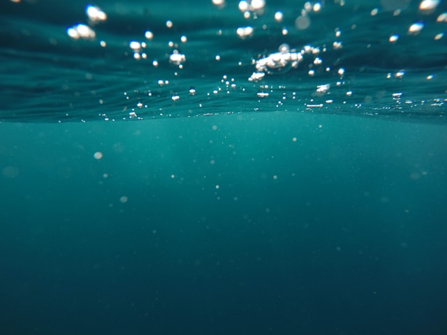 Photo by Unsplash An illustrative photo of an underwater scene