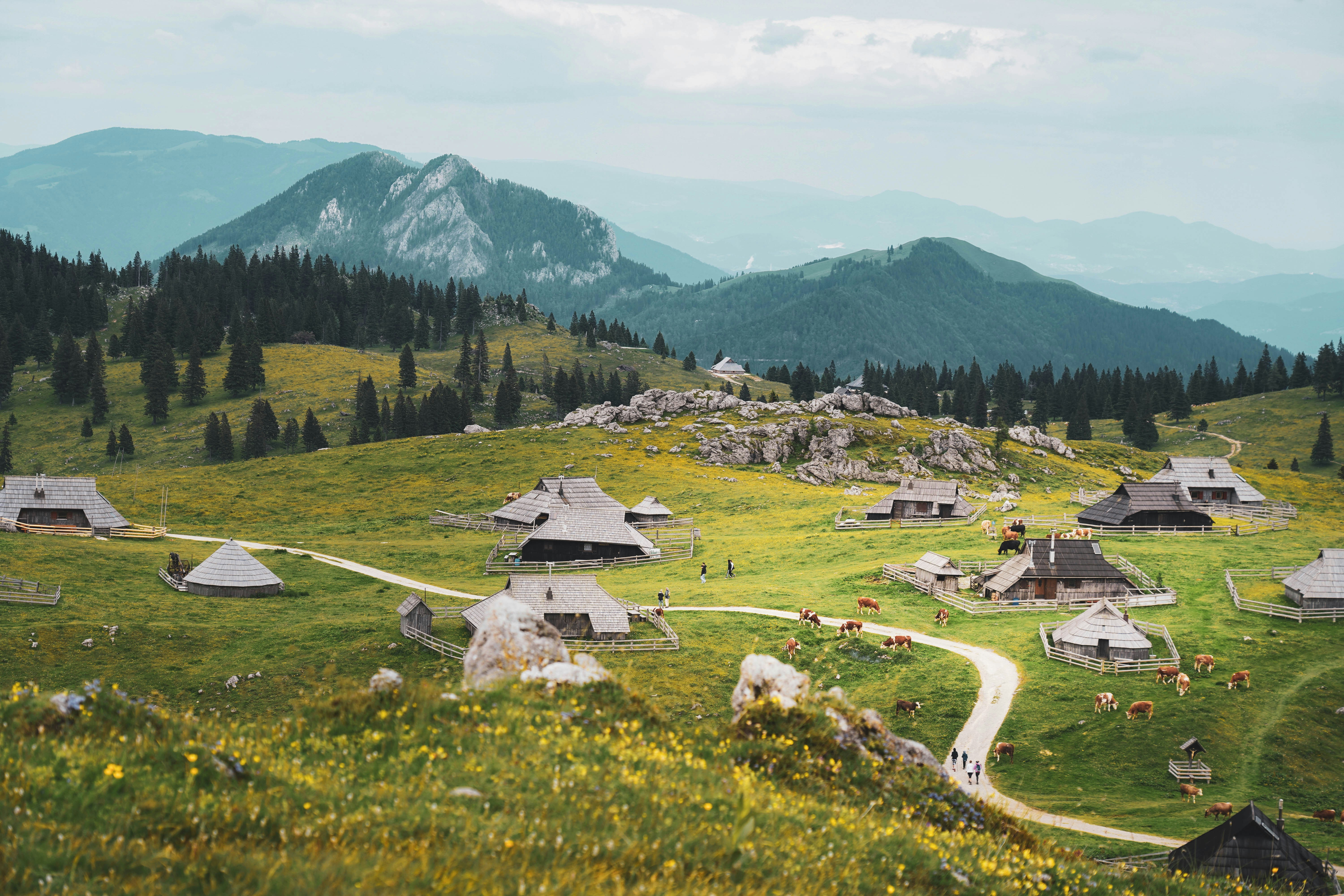 An illustrative photo of a landscape with buildings and trees.