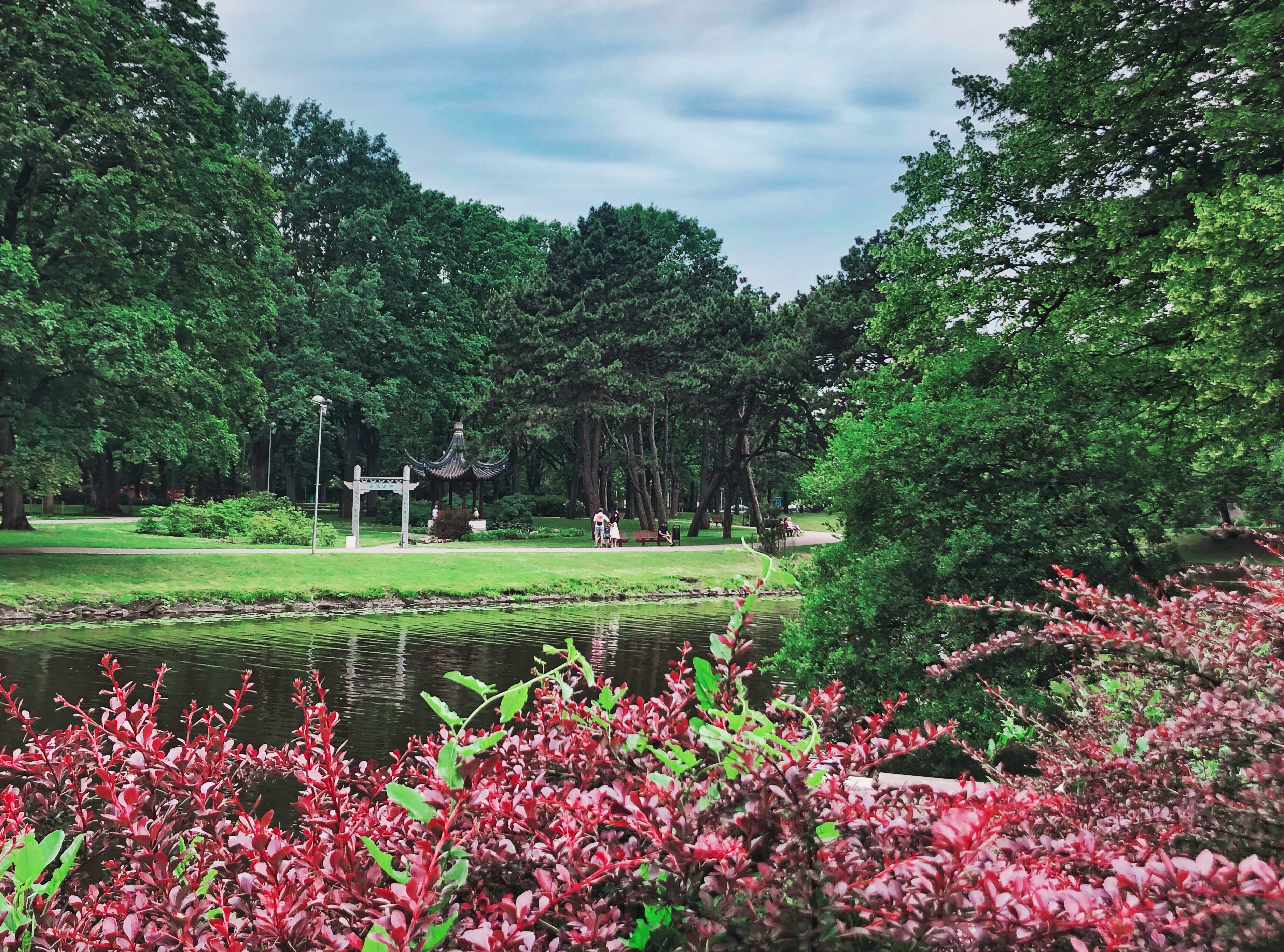 An illustrative photo of an arbor on grass near lake.