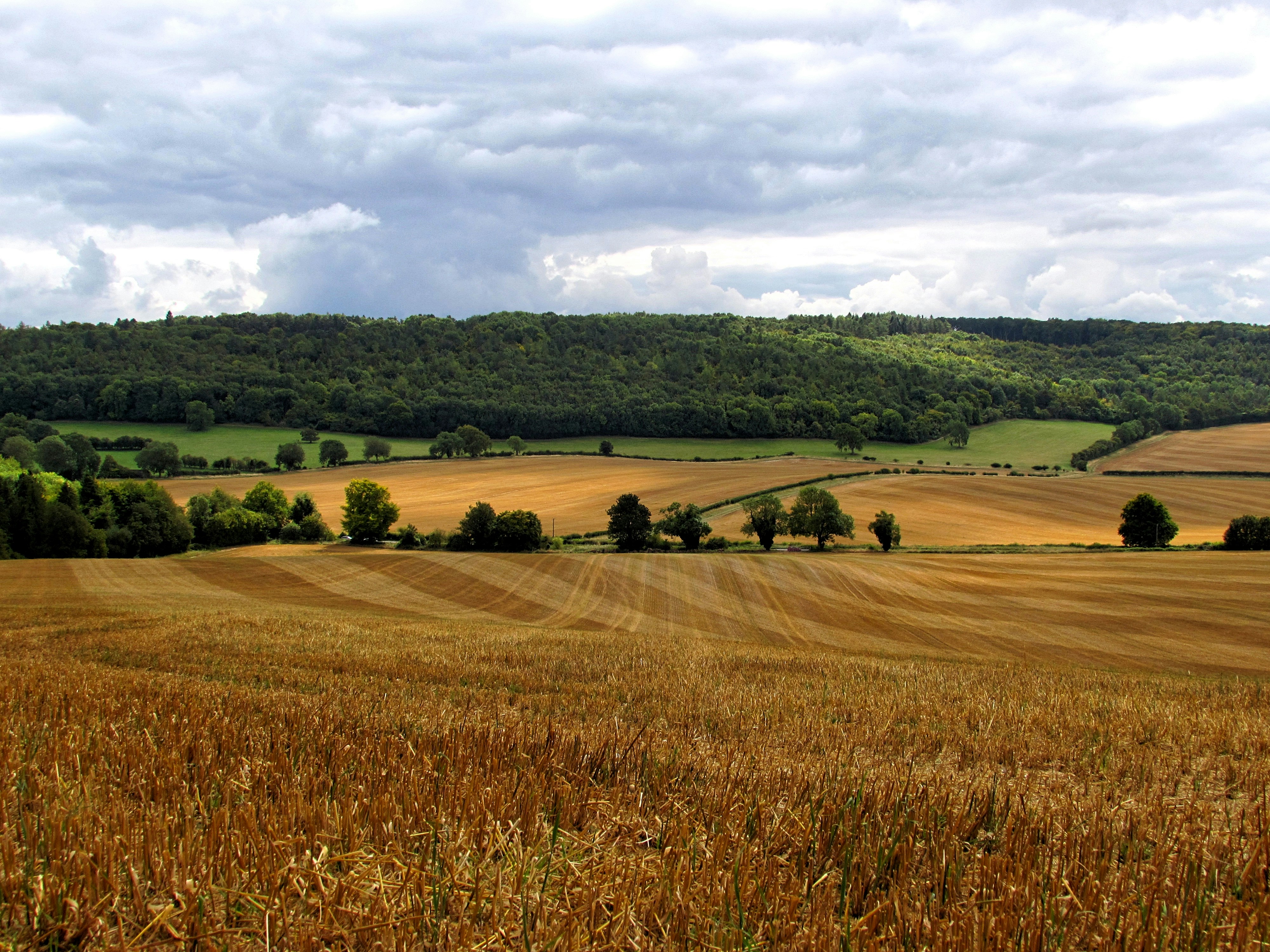 An illustrative photo of brown and green fields under a cloudy sky.